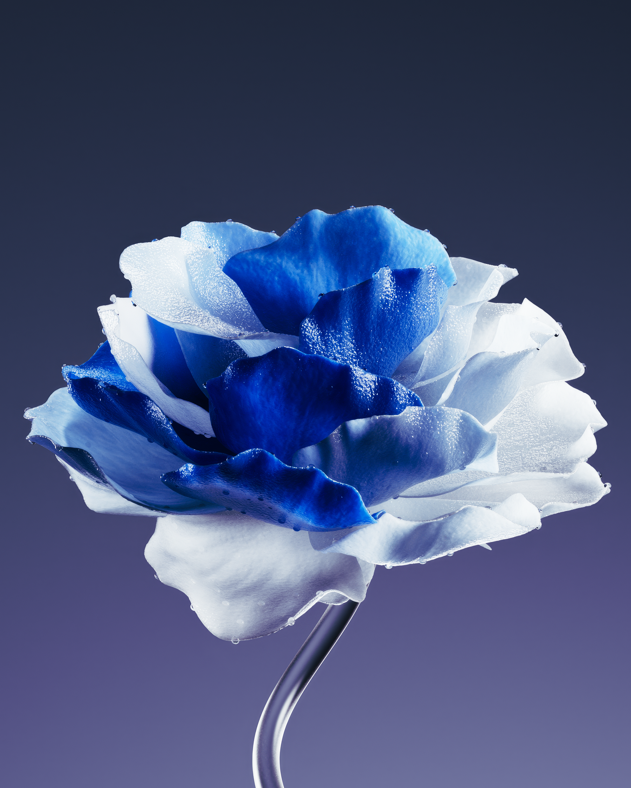 ENTROPY FLOWER — Изображение №5 — 3D на Dprofile