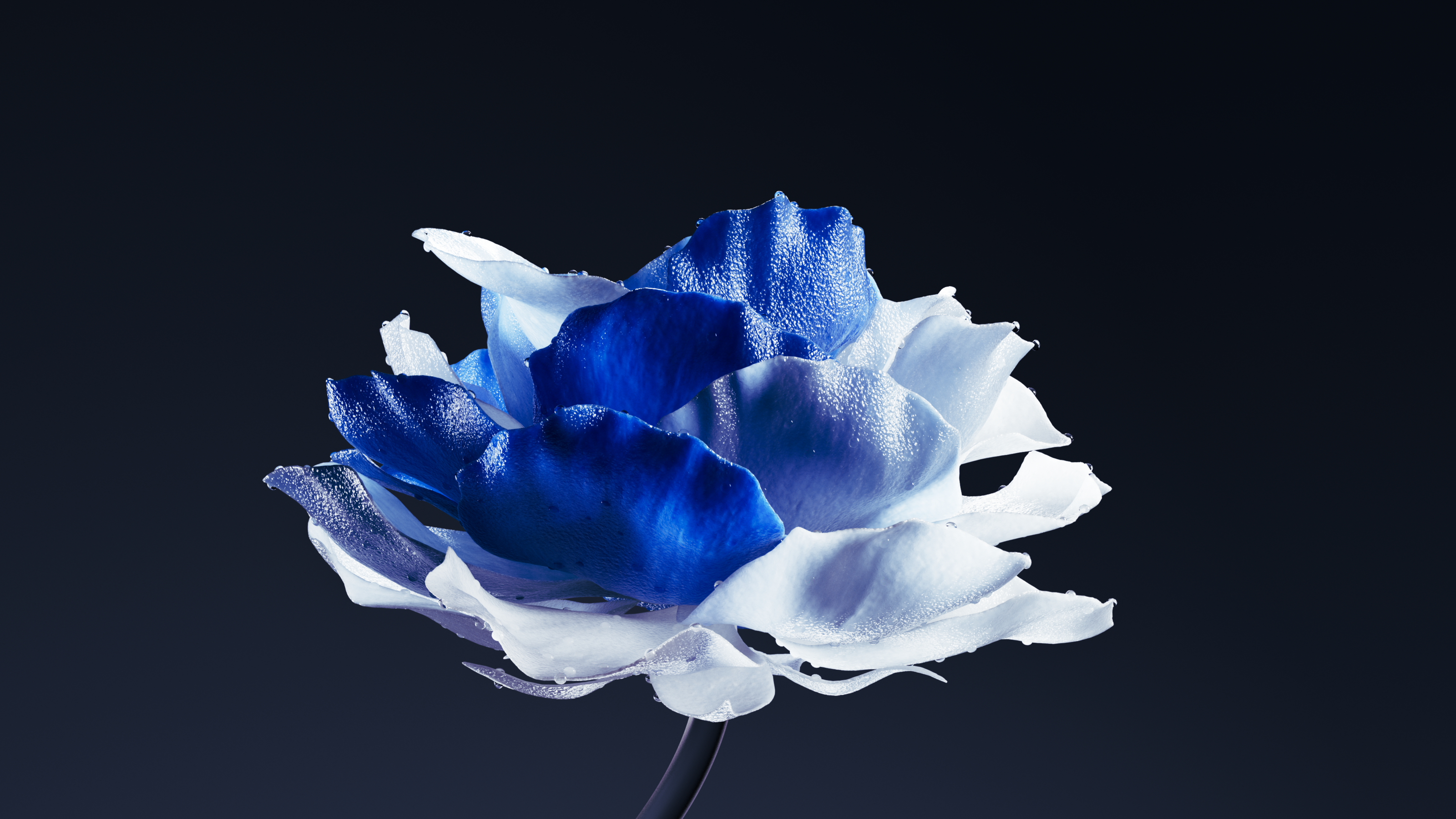 ENTROPY FLOWER — Изображение №6 — 3D на Dprofile