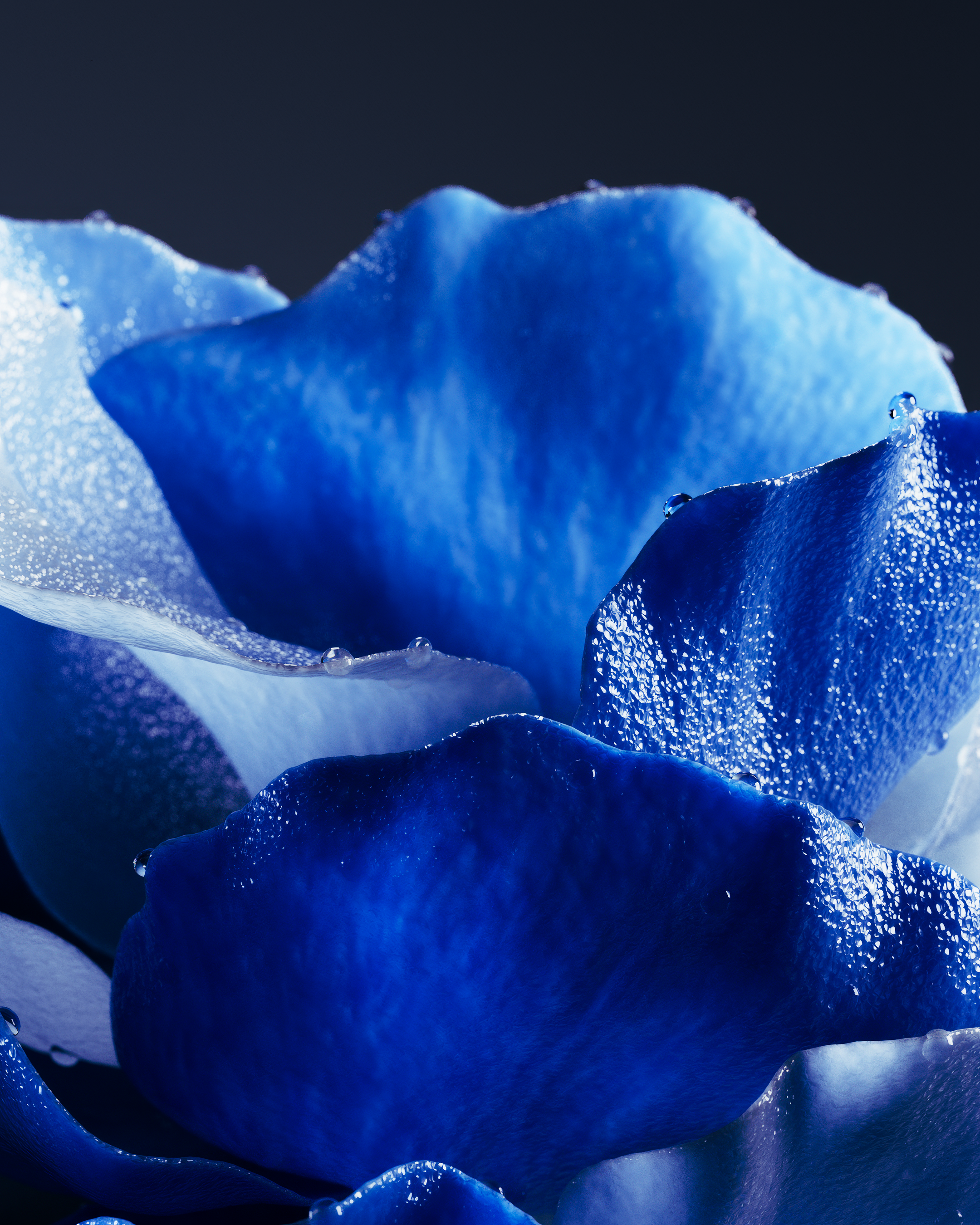 ENTROPY FLOWER — Изображение №4 — 3D на Dprofile