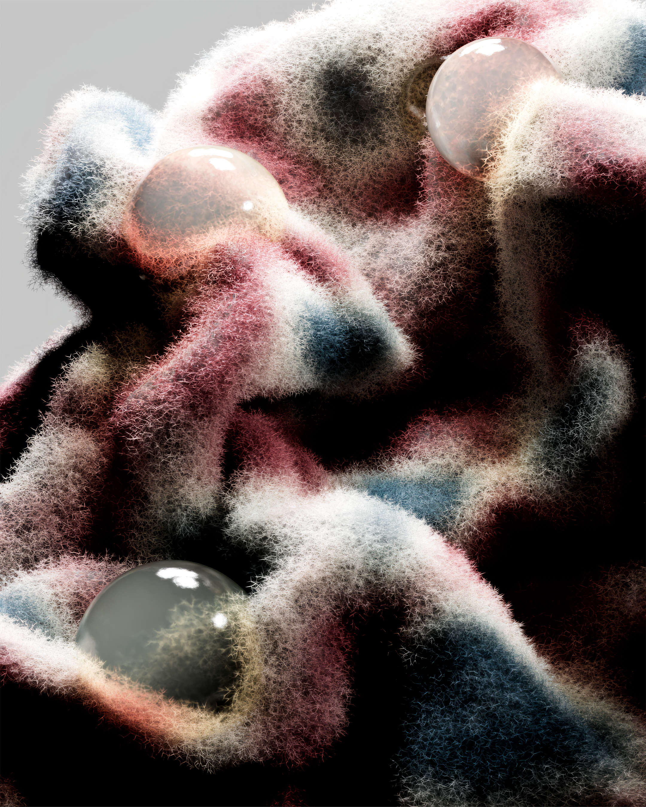 FUR EXPLORING — Изображение №1 — 3D на Dprofile