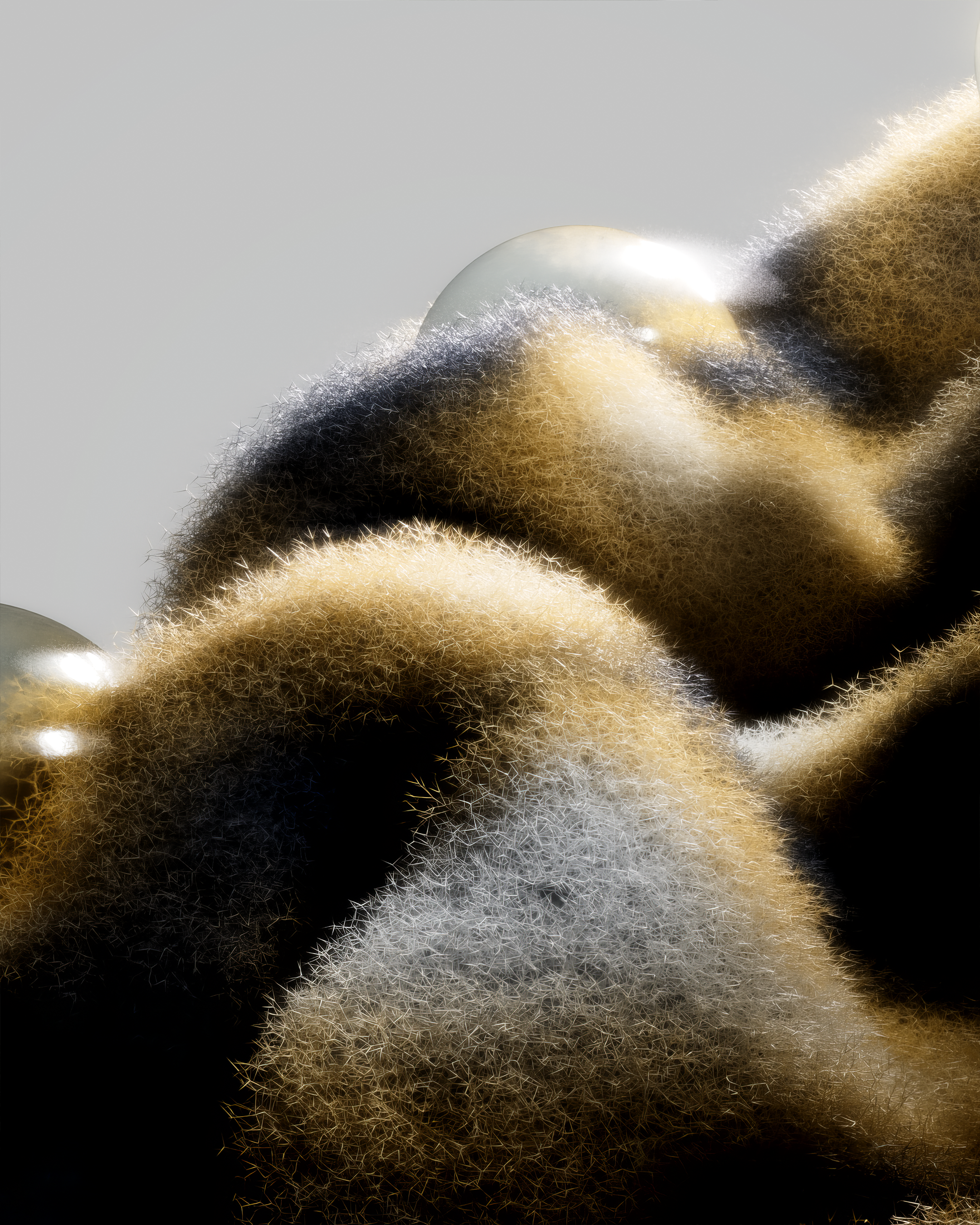 FUR EXPLORING — Изображение №4 — 3D на Dprofile