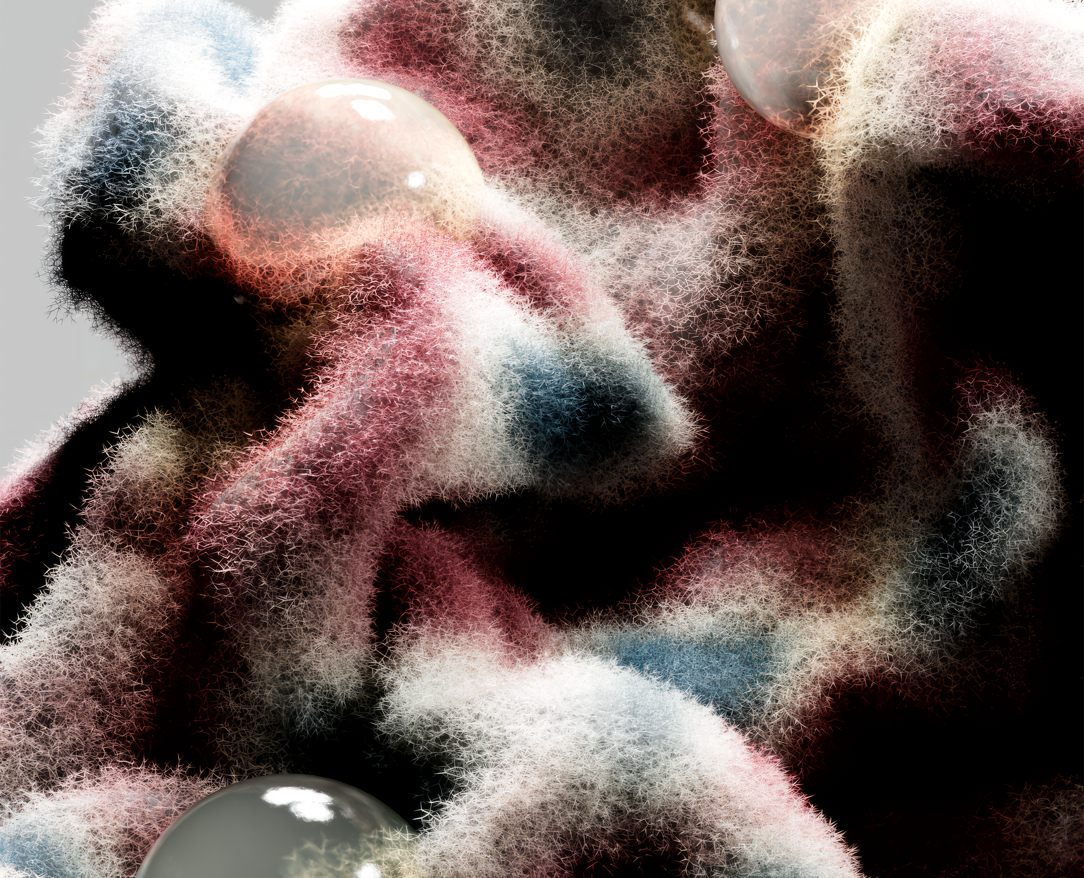 FUR EXPLORING на Dprofile