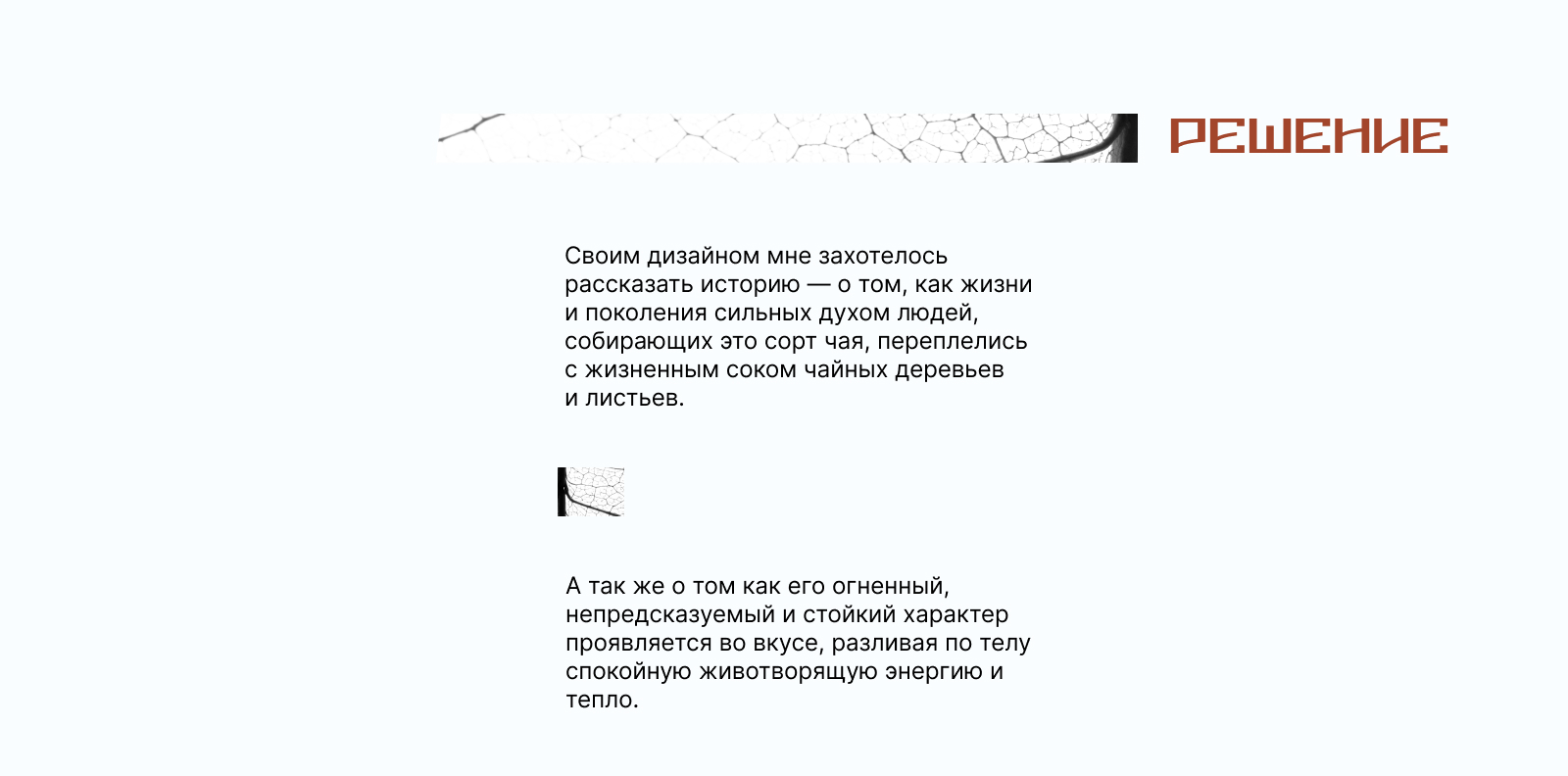 Дизайн упаковки чайного блина l Конкурс "Качаем Дизайн" — Изображение №4 — Брендинг, Иллюстрация на Dprofile