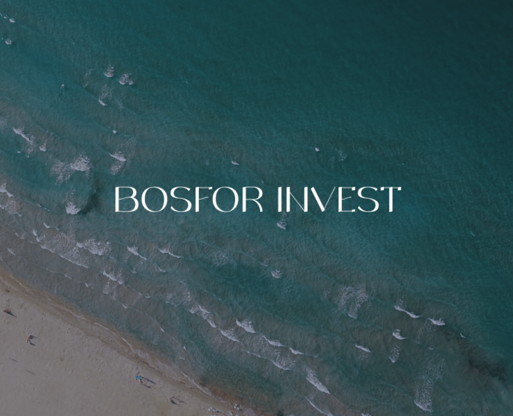 Bosfor Invest — сайт — Интерфейсы на Dprofile