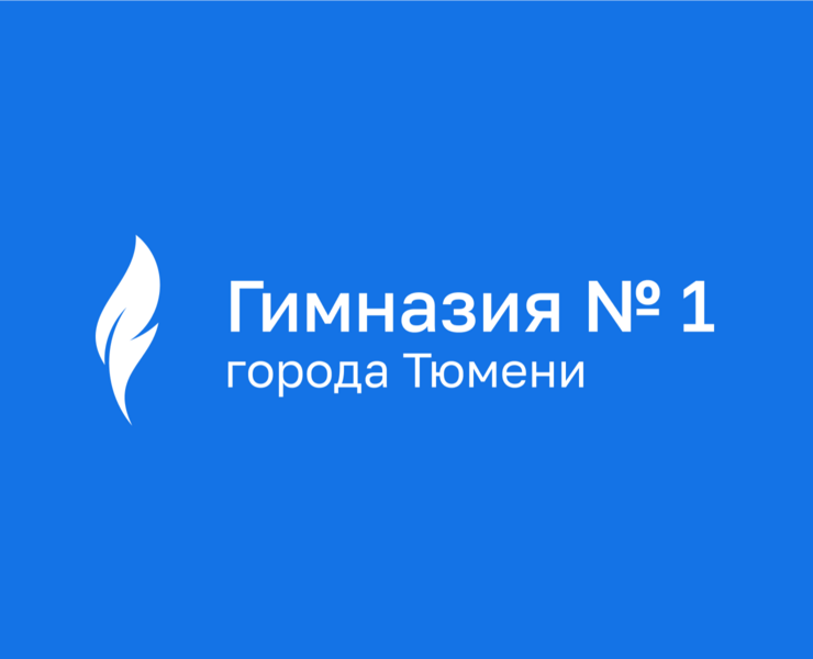 Гимназия №1 города Тюмени — Интерфейсы, Брендинг на Dprofile