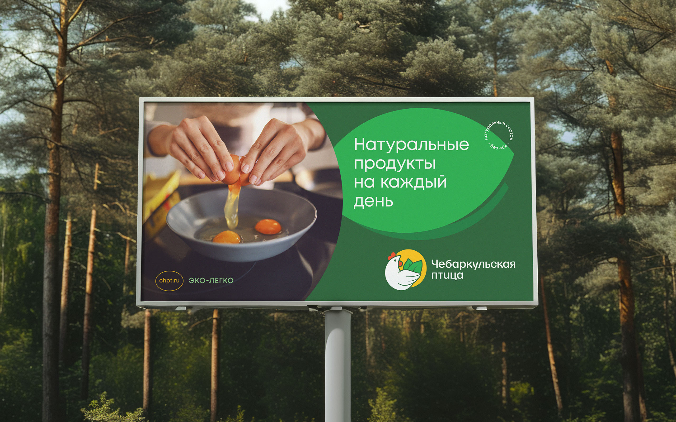 Чебаркульская птица — Изображение №6 — Брендинг на Dprofile