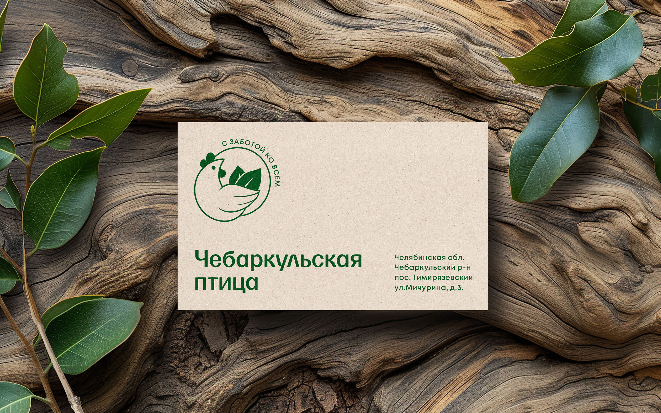 Чебаркульская птица — Изображение №13 — Брендинг на Dprofile