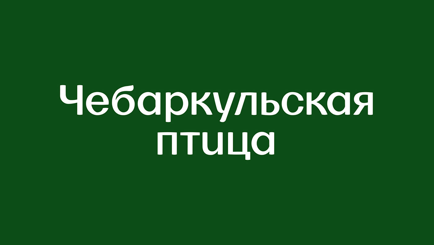 Чебаркульская птица — Изображение №2 — Брендинг на Dprofile