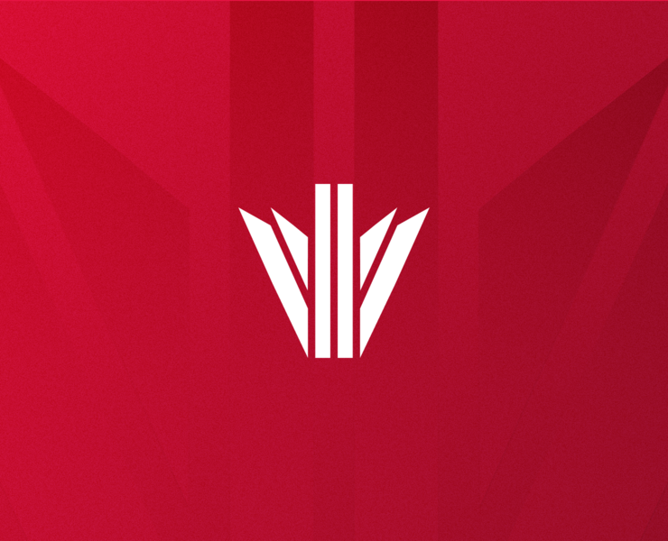 MAJESTIC CYBER LEAGUE — GUNZONE — Брендинг на Dprofile