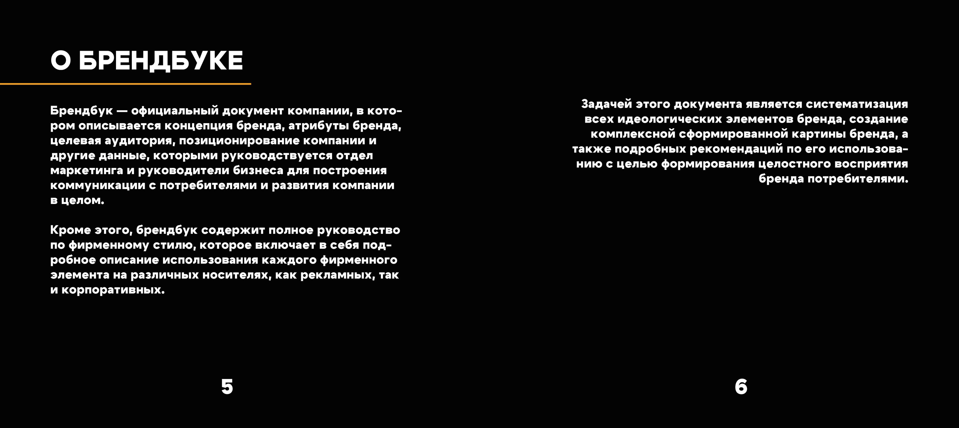 Фирменный стиль "Сибрегион" — Изображение №2 — Брендинг, Графика на Dprofile