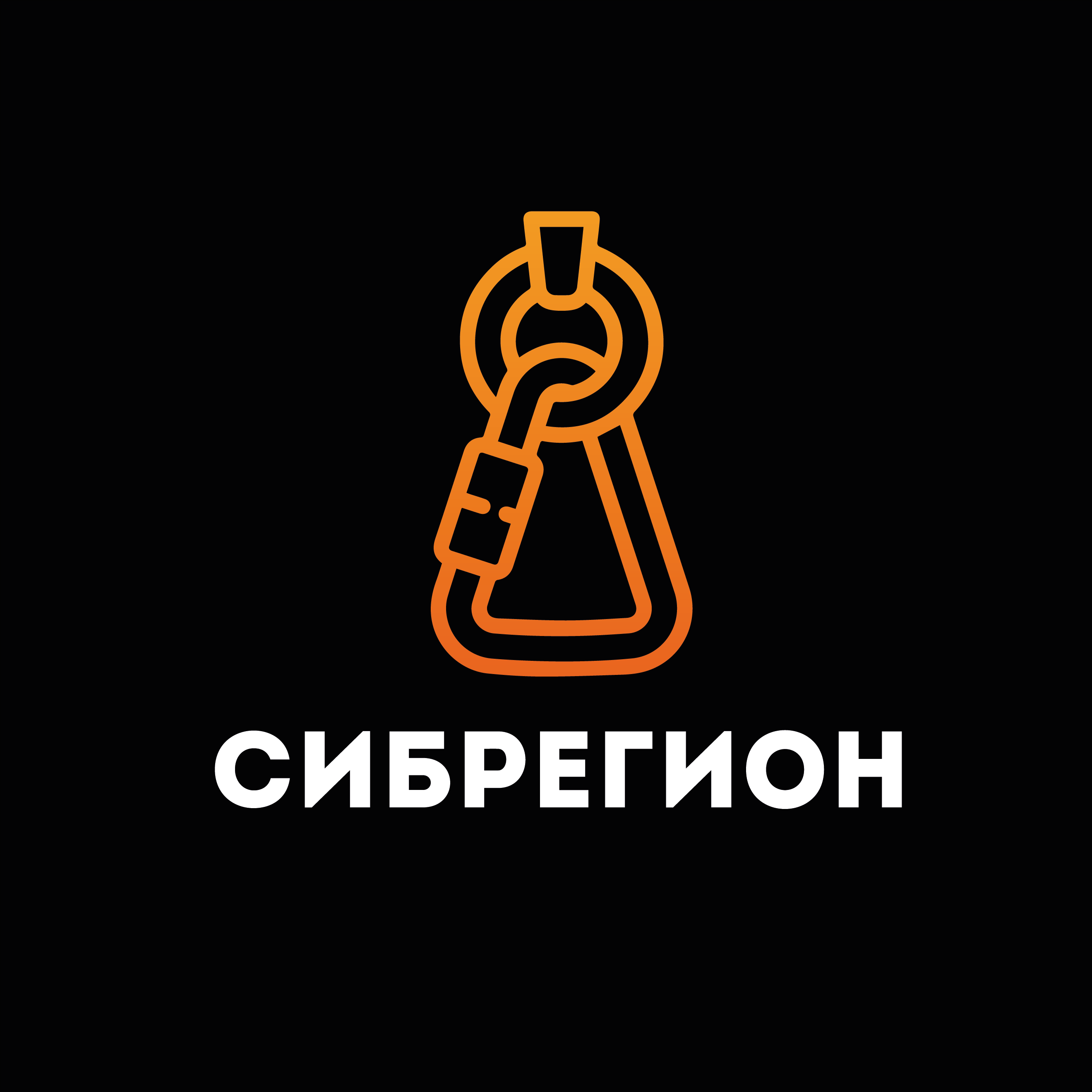 Фирменный стиль "Сибрегион" — Изображение №1 — Брендинг, Графика на Dprofile