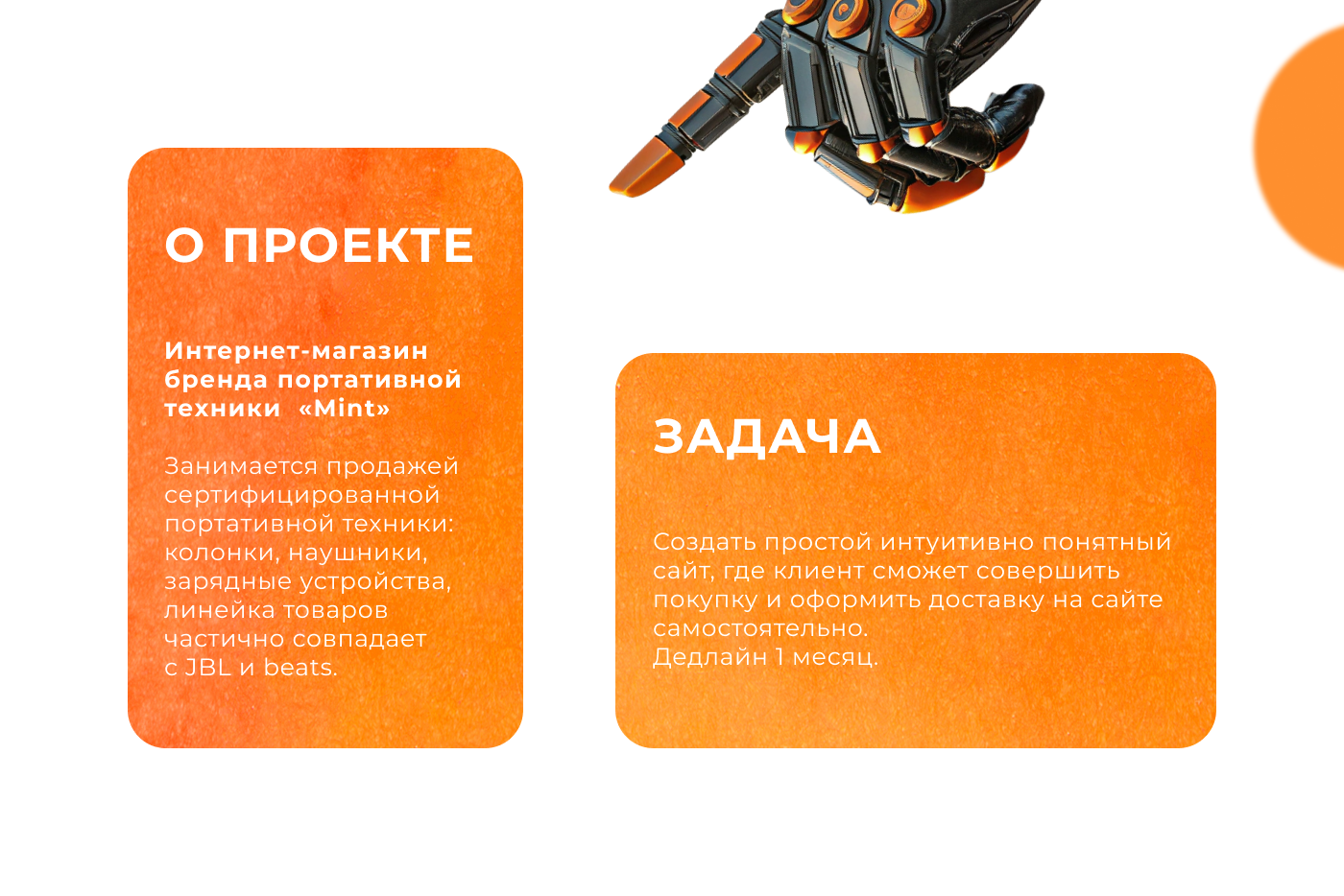 Создание интернет-магазина "mint" (+ логотип, дизайн) — Изображение №2 — Интерфейсы, Брендинг на Dprofile