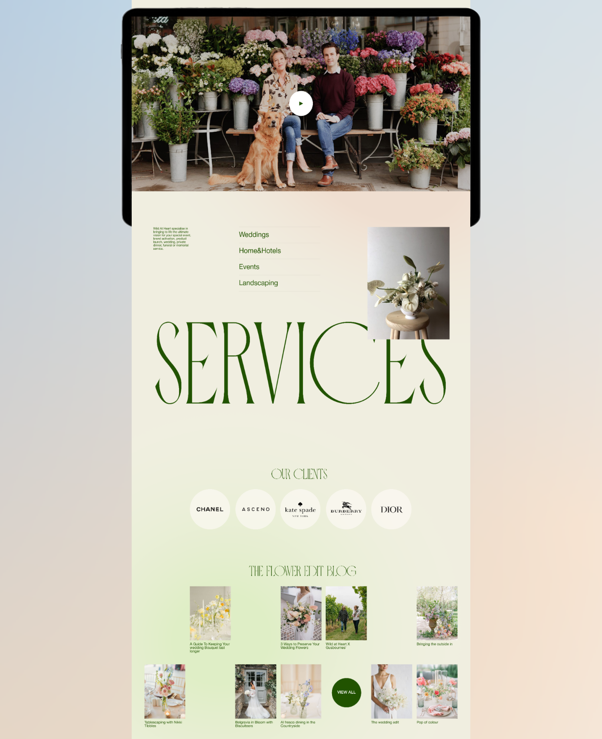 WILD AT HEART | Corporate website Redesign — Изображение №3 — Интерфейсы, Маркетинг на Dprofile