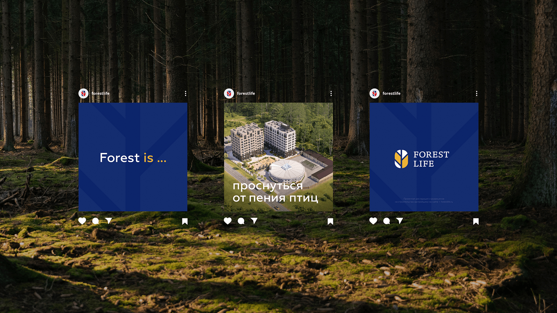 Forest Life — Изображение №26 — Брендинг на Dprofile