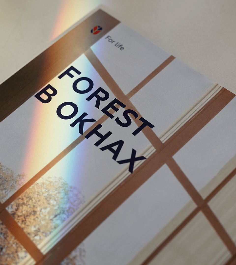 Forest Life — Изображение №14 — Брендинг на Dprofile