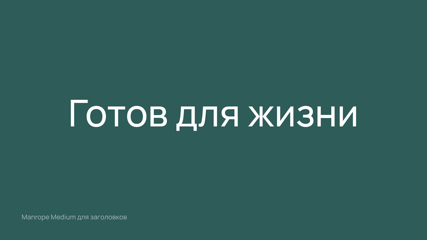 Румянский — Изображение №6 — Брендинг на Dprofile