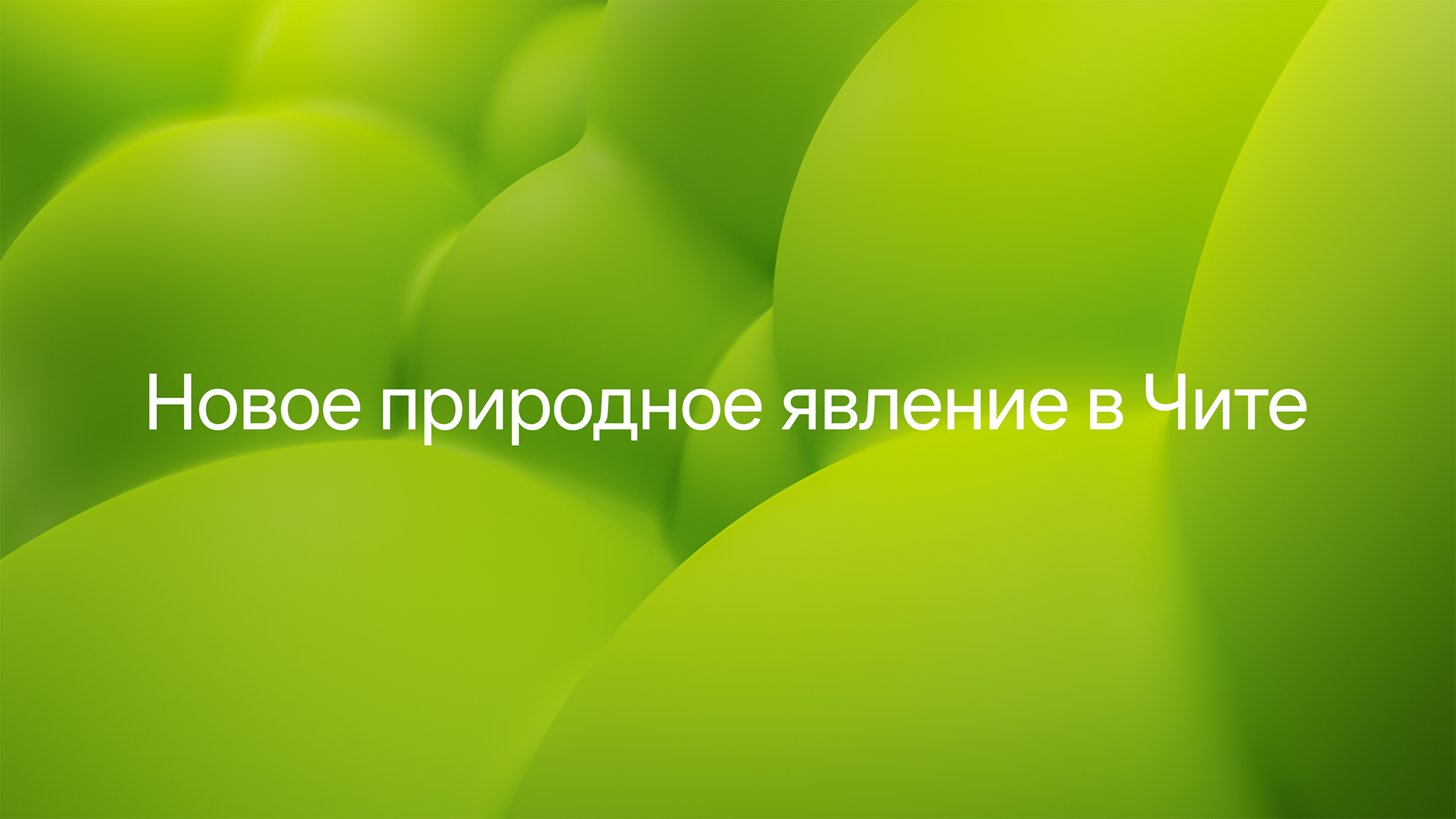 Экодевелопер «Природа» — Изображение №3 — Брендинг на Dprofile