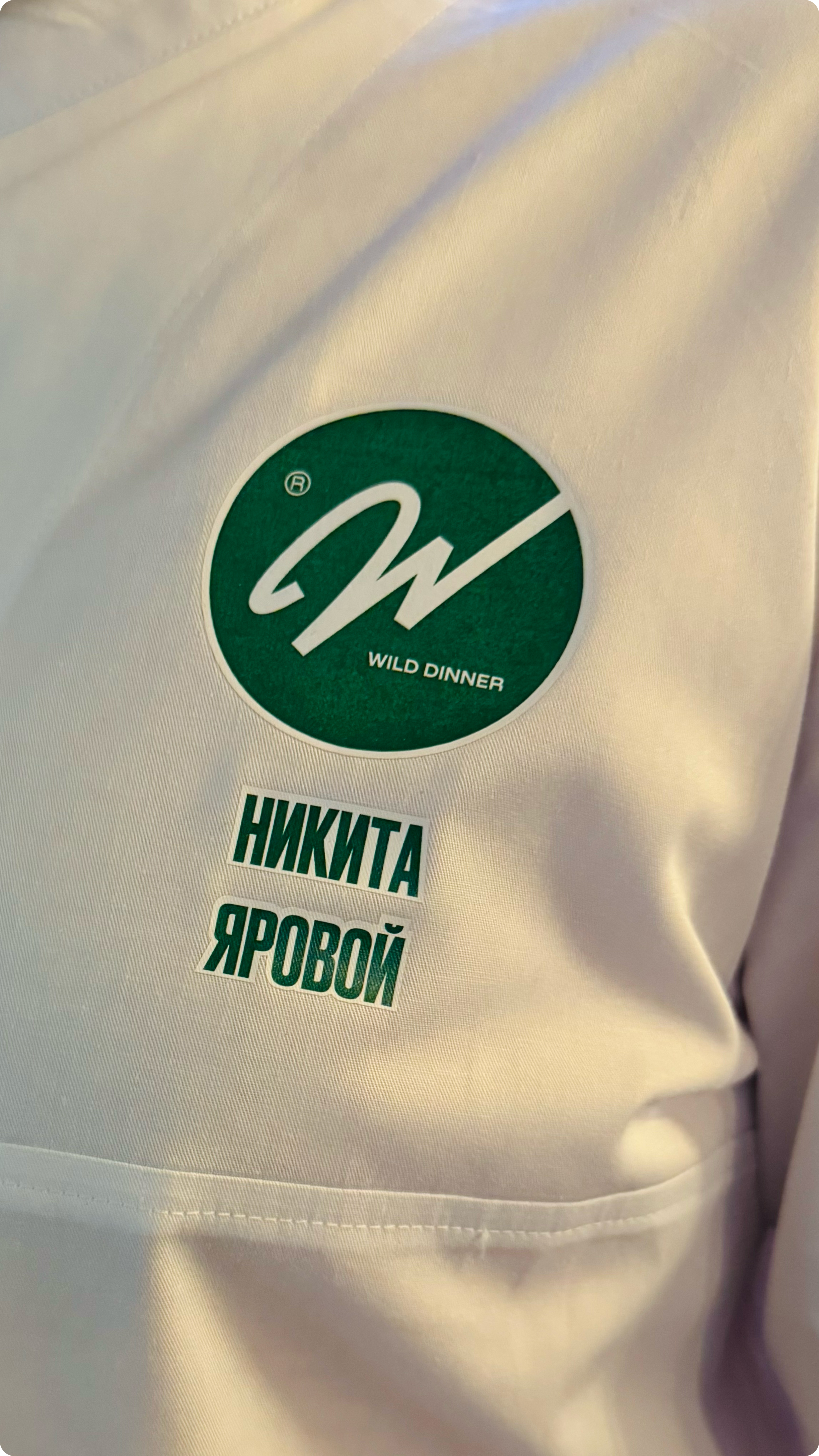 WILD DINNER — Изображение №17 — Брендинг на Dprofile