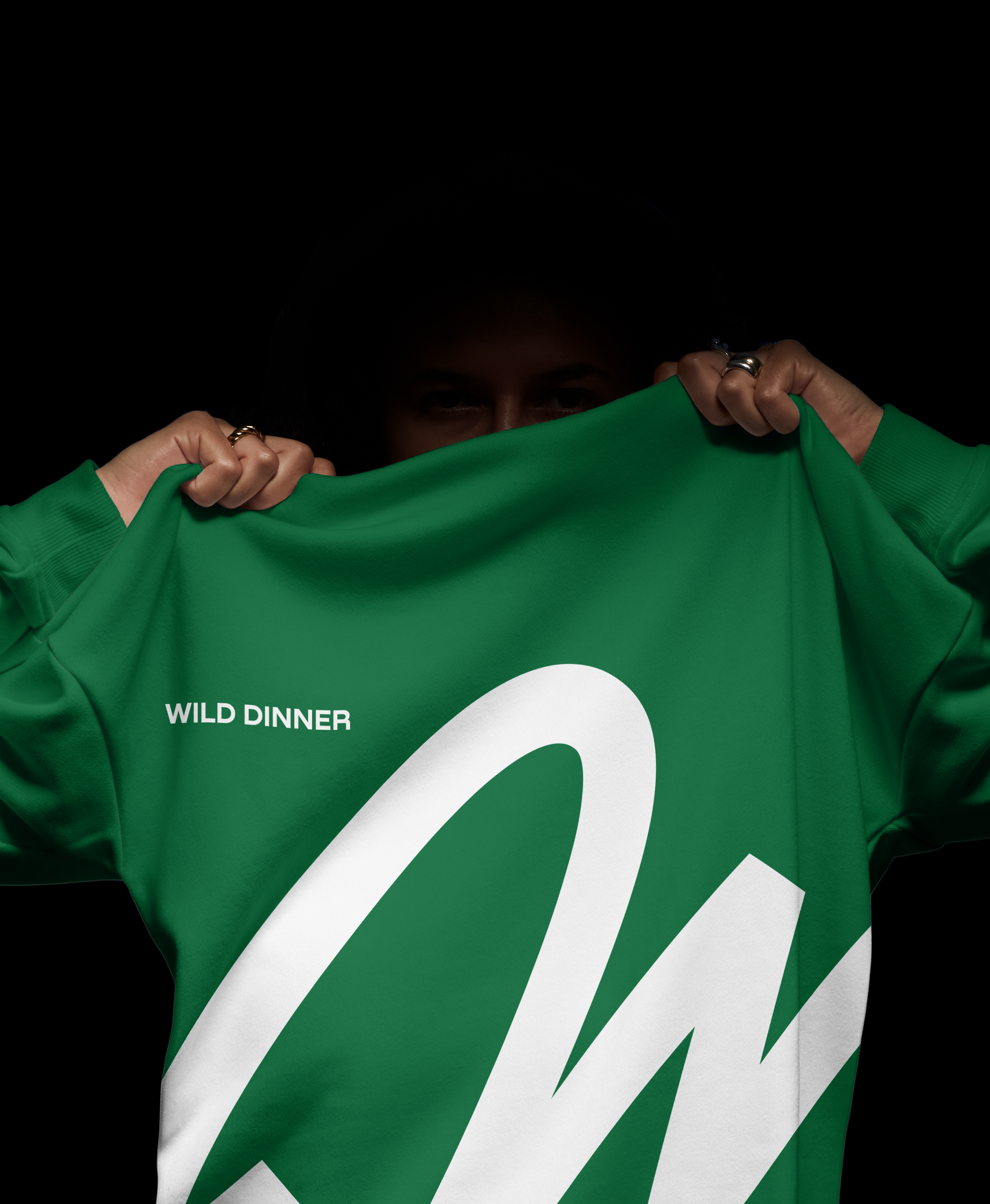 WILD DINNER — Изображение №19 — Брендинг на Dprofile