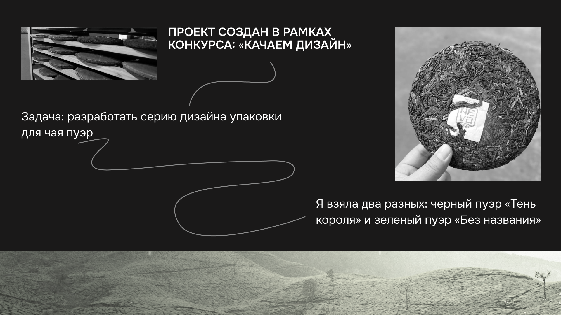 Серия упаковок для чая пуэр — Изображение №2 — Брендинг, Графика на Dprofile