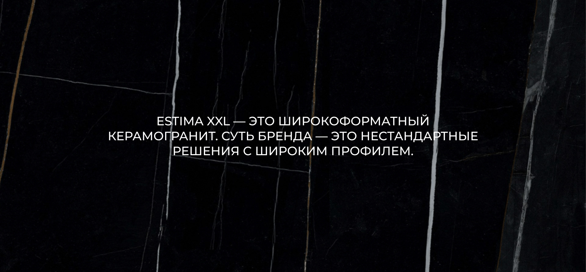 Estima merch — Изображение №2 — Брендинг, Иллюстрация, Графика на Dprofile