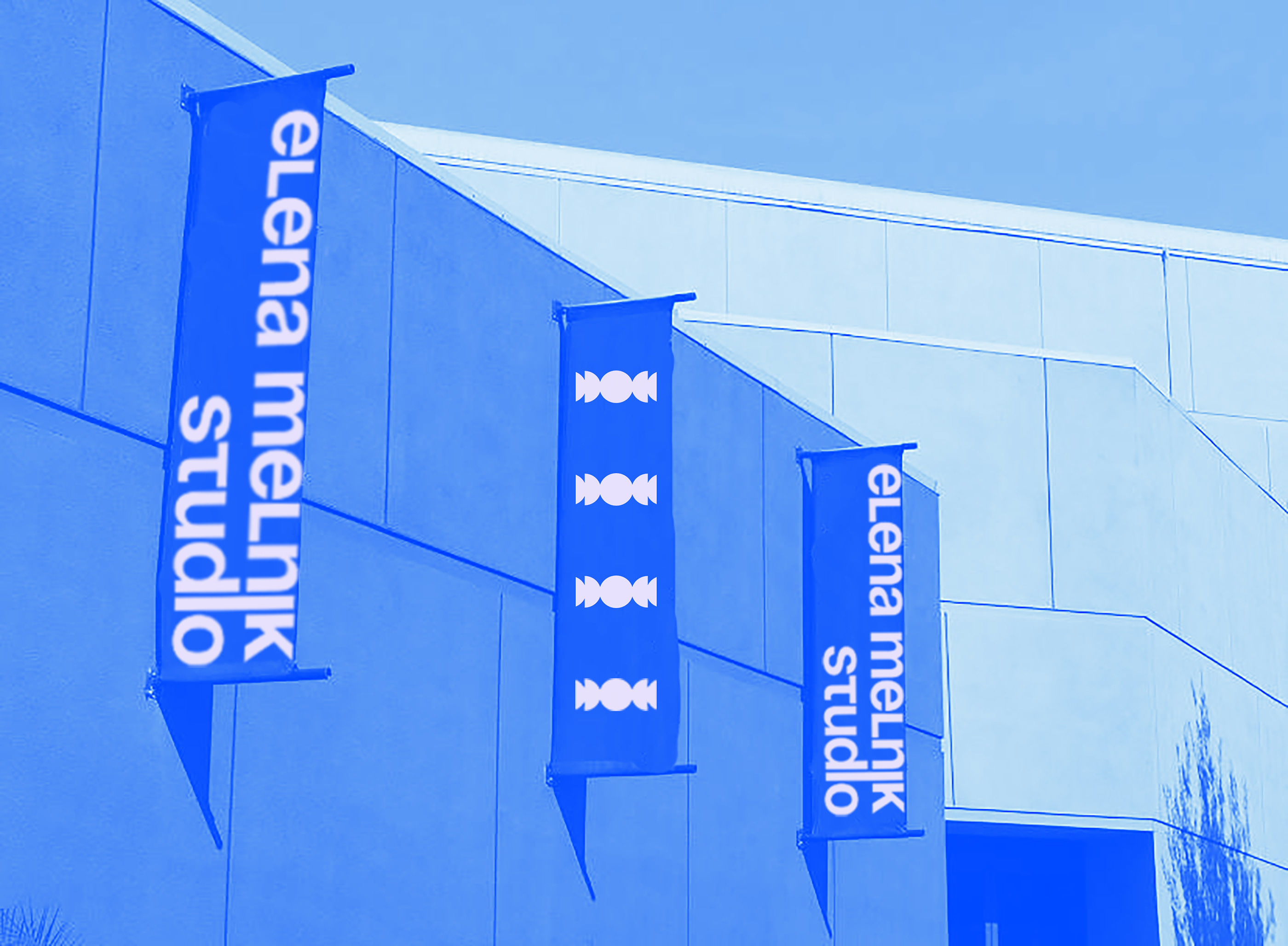 ELENA MELNIK BRANDING — Изображение №4 — Брендинг, Графика на Dprofile