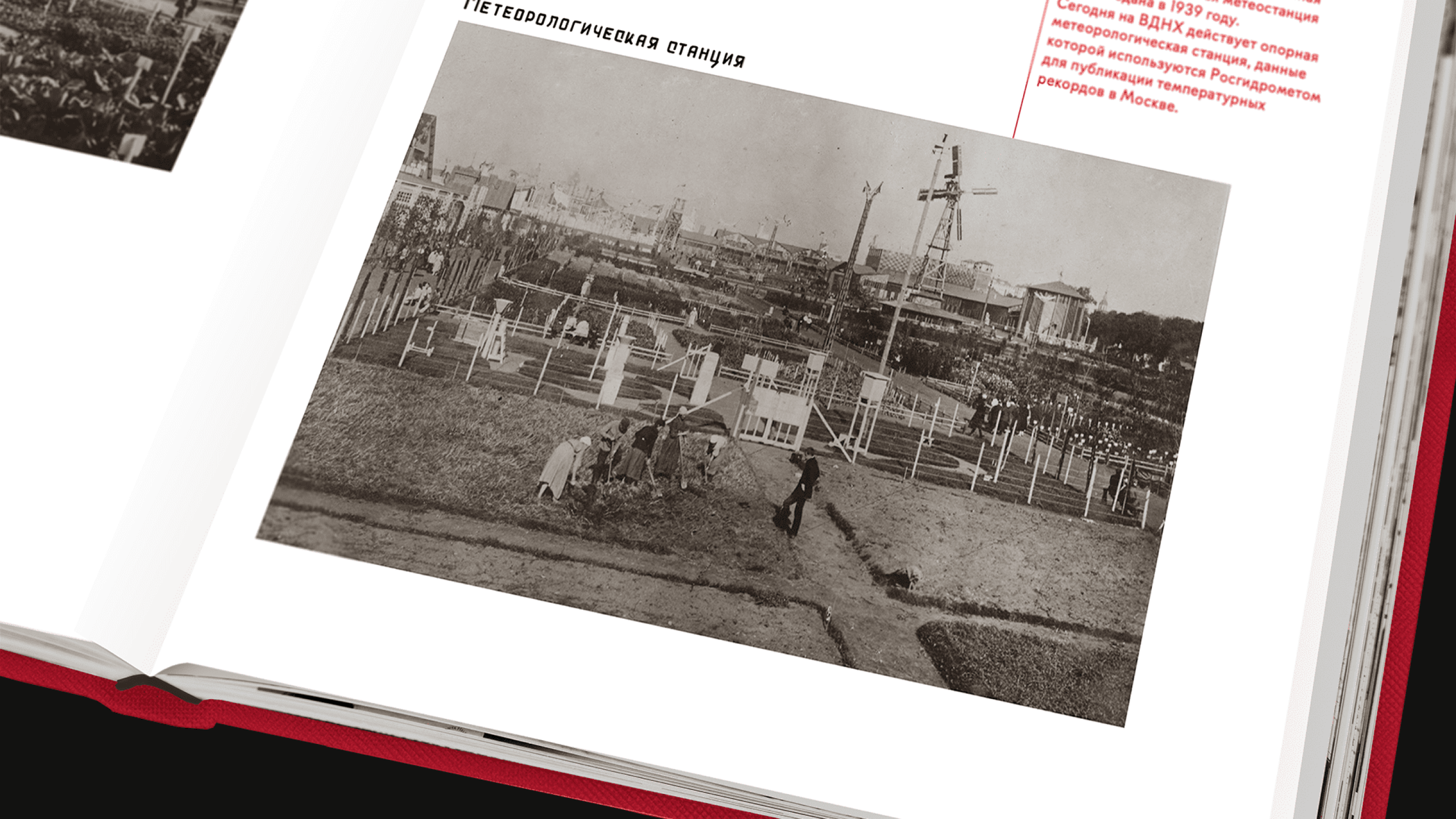 Книга-альбом к столетию выставки ВСХВ — Изображение №7 — Графика на Dprofile