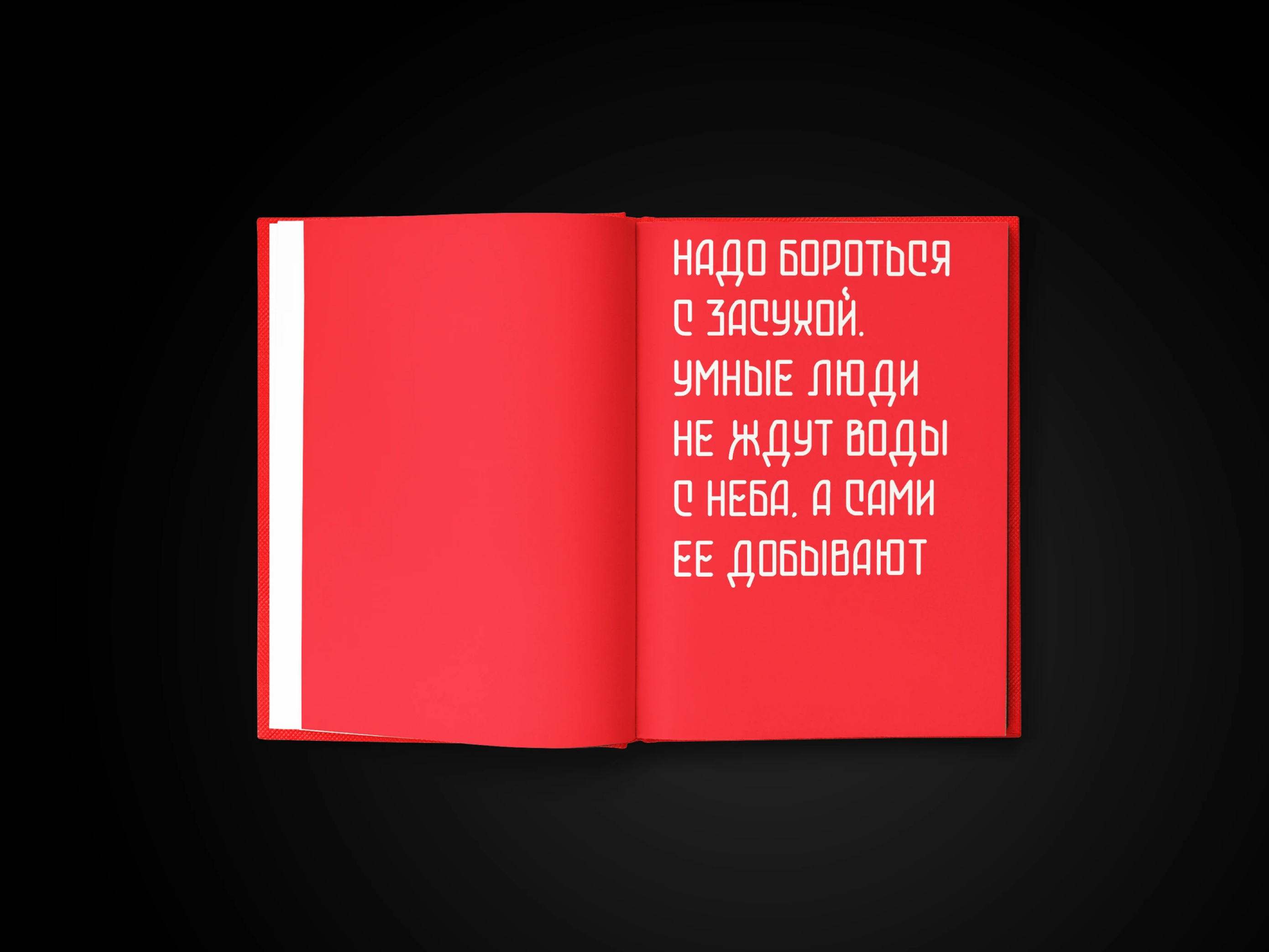 Книга-альбом к столетию выставки ВСХВ — Изображение №17 — Графика на Dprofile