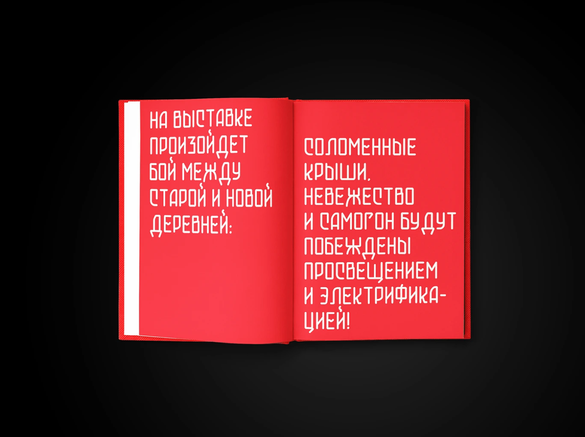 Книга-альбом к столетию выставки ВСХВ — Изображение №19 — Графика на Dprofile