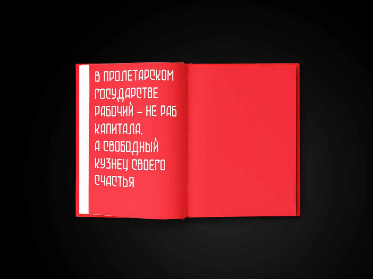 Книга-альбом к столетию выставки ВСХВ — Изображение №16 — Графика на Dprofile