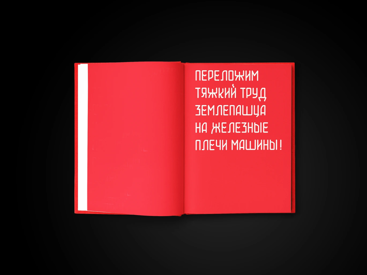 Книга-альбом к столетию выставки ВСХВ — Изображение №11 — Графика на Dprofile