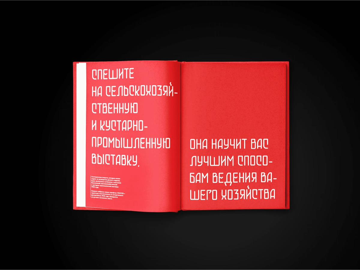 Книга-альбом к столетию выставки ВСХВ — Изображение №6 — Графика на Dprofile