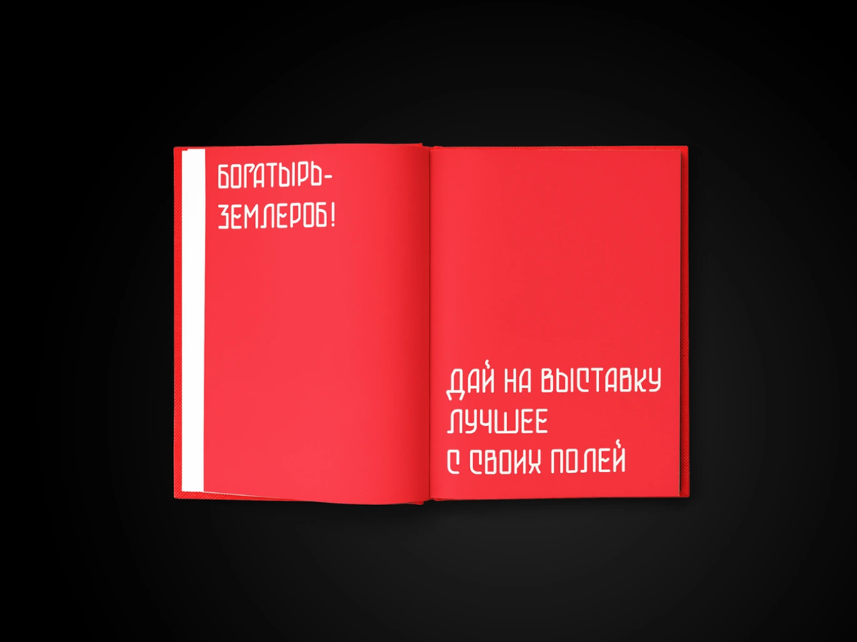 Книга-альбом к столетию выставки ВСХВ — Изображение №13 — Графика на Dprofile