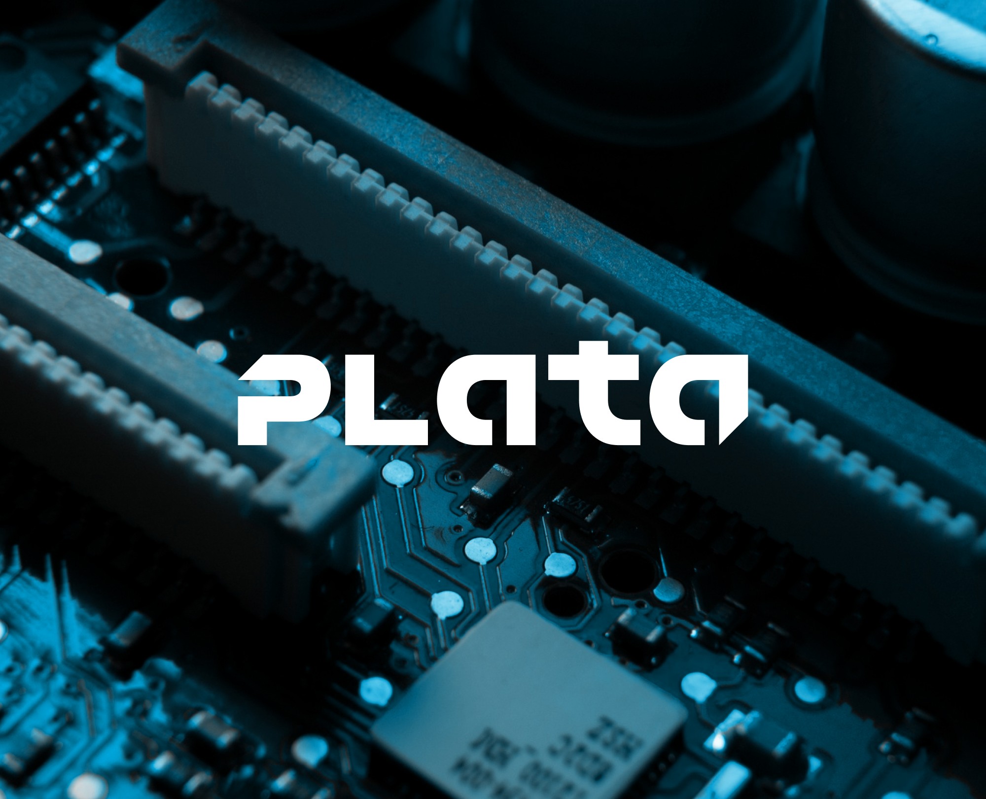 Брендинг "Plata" — Брендинг на Dprofile