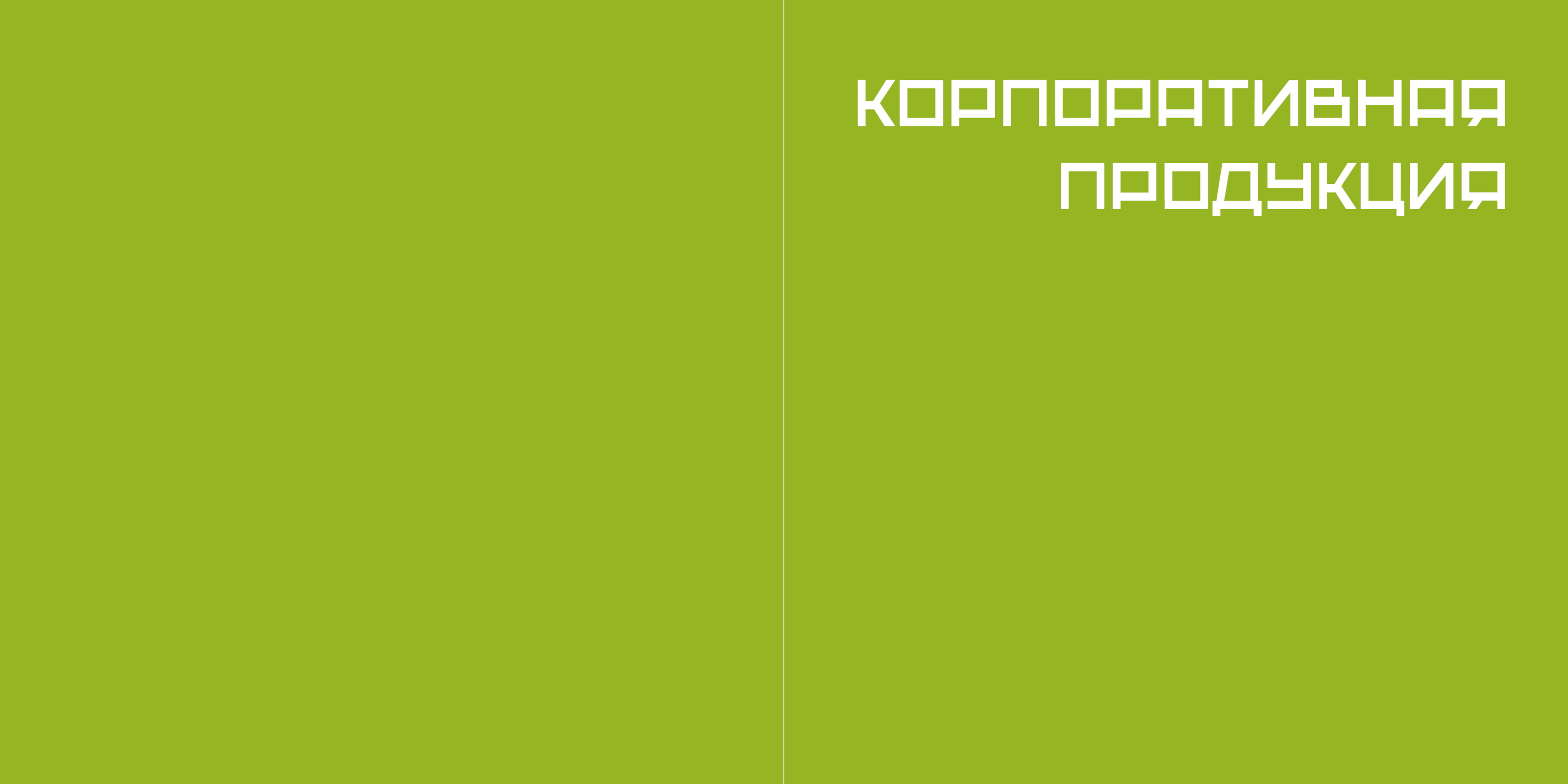 «Система» — брендбук транспортной компании — Изображение №18 — Брендинг, Графика на Dprofile