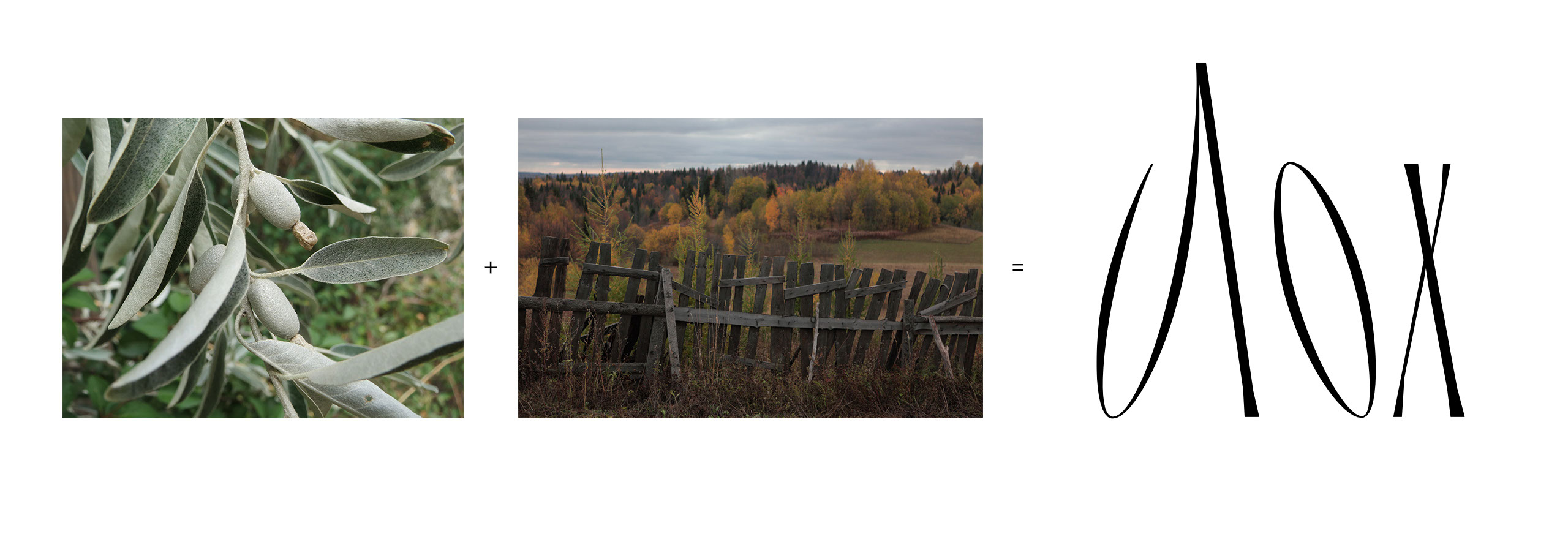 Мерч для бренда О,май. — Изображение №2 — Брендинг, Иллюстрация на Dprofile