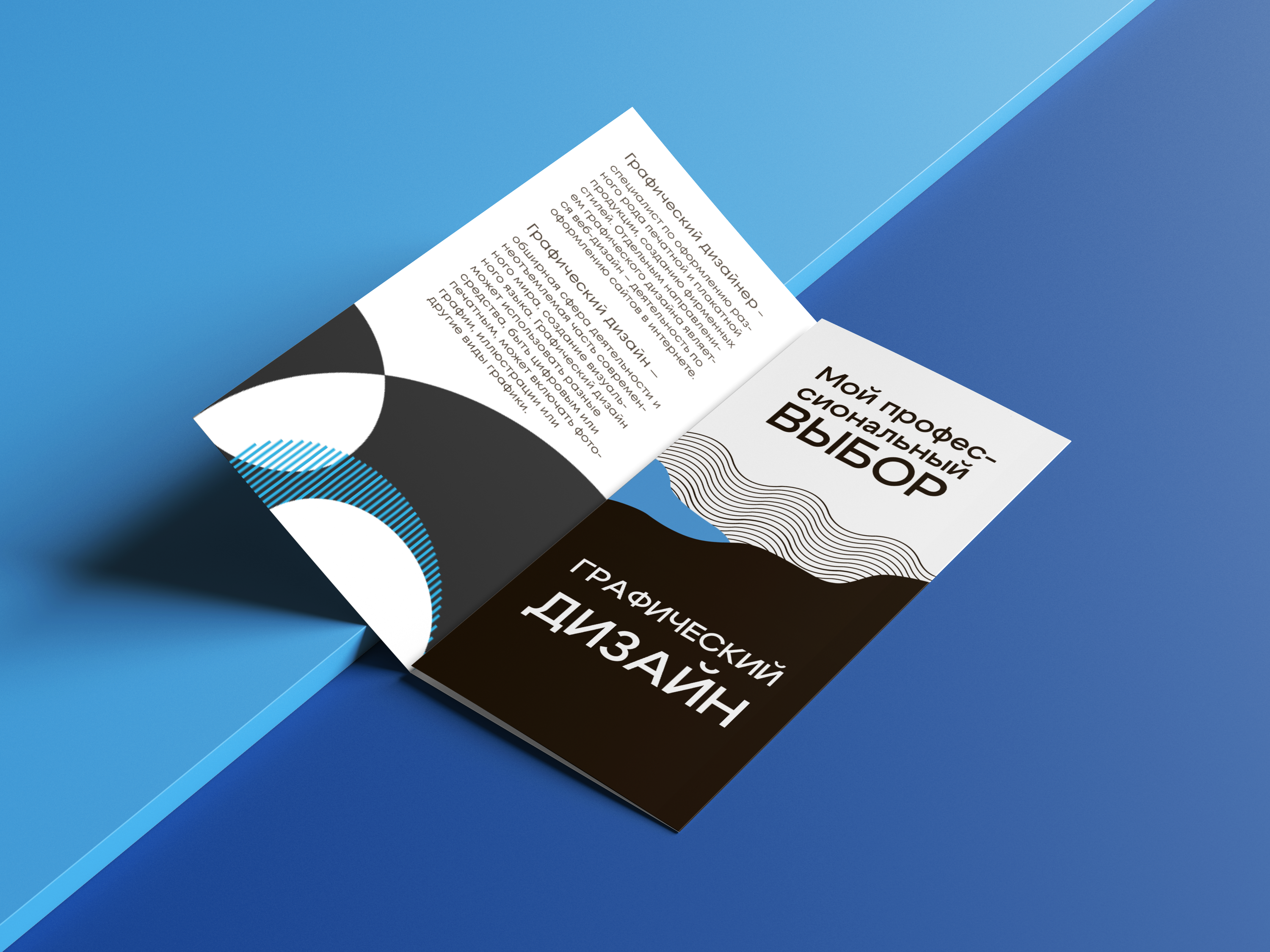 Буклет графический дизайн — Изображение №1 — Брендинг на Dprofile