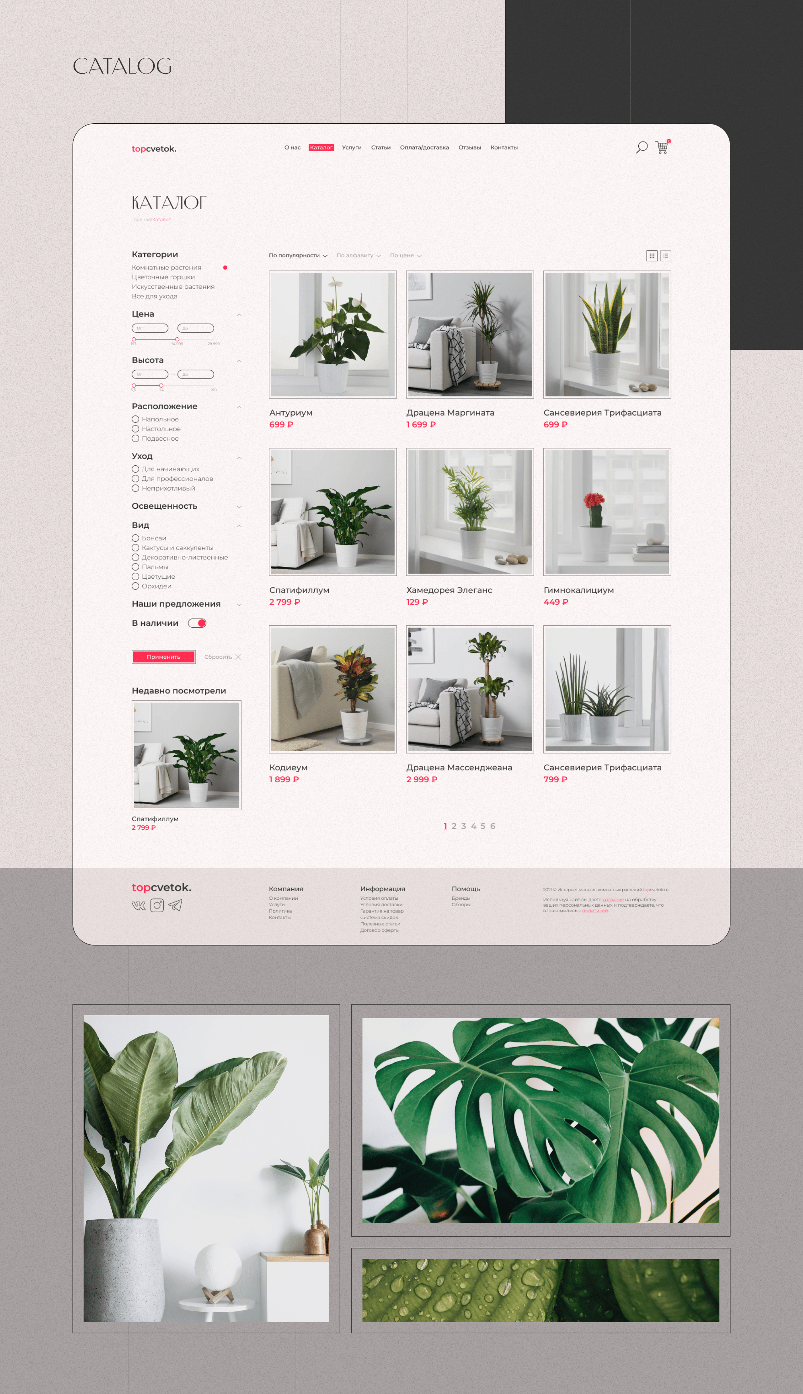 Plant online store | concept — Изображение №4 — Интерфейсы на Dprofile