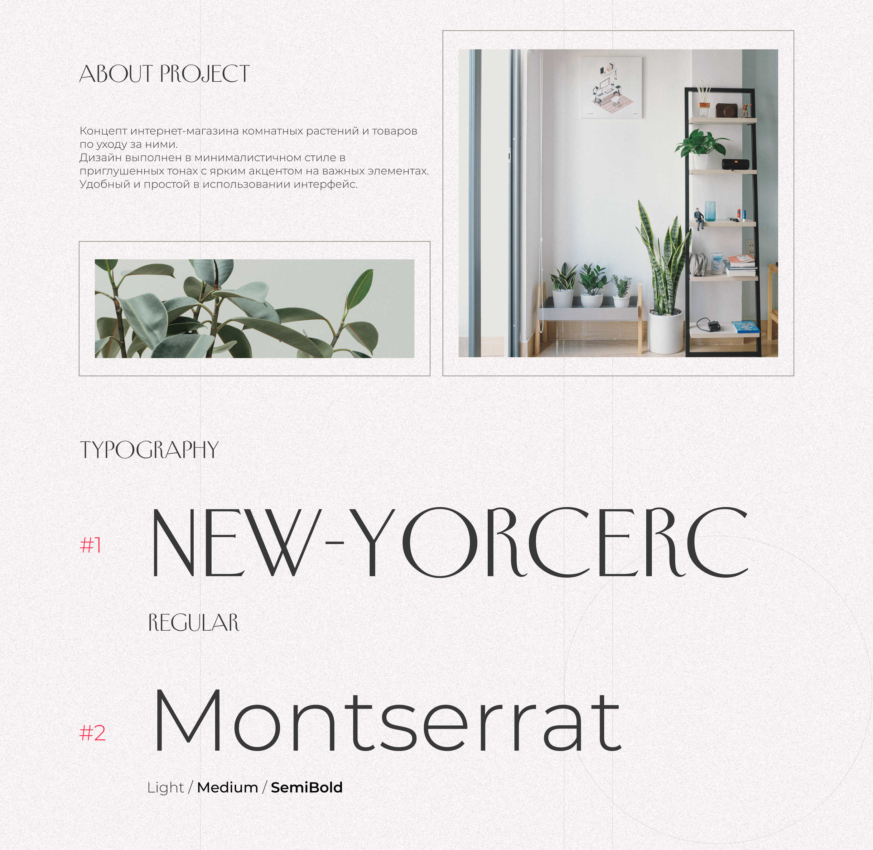 Plant online store | concept — Изображение №2 — Интерфейсы на Dprofile