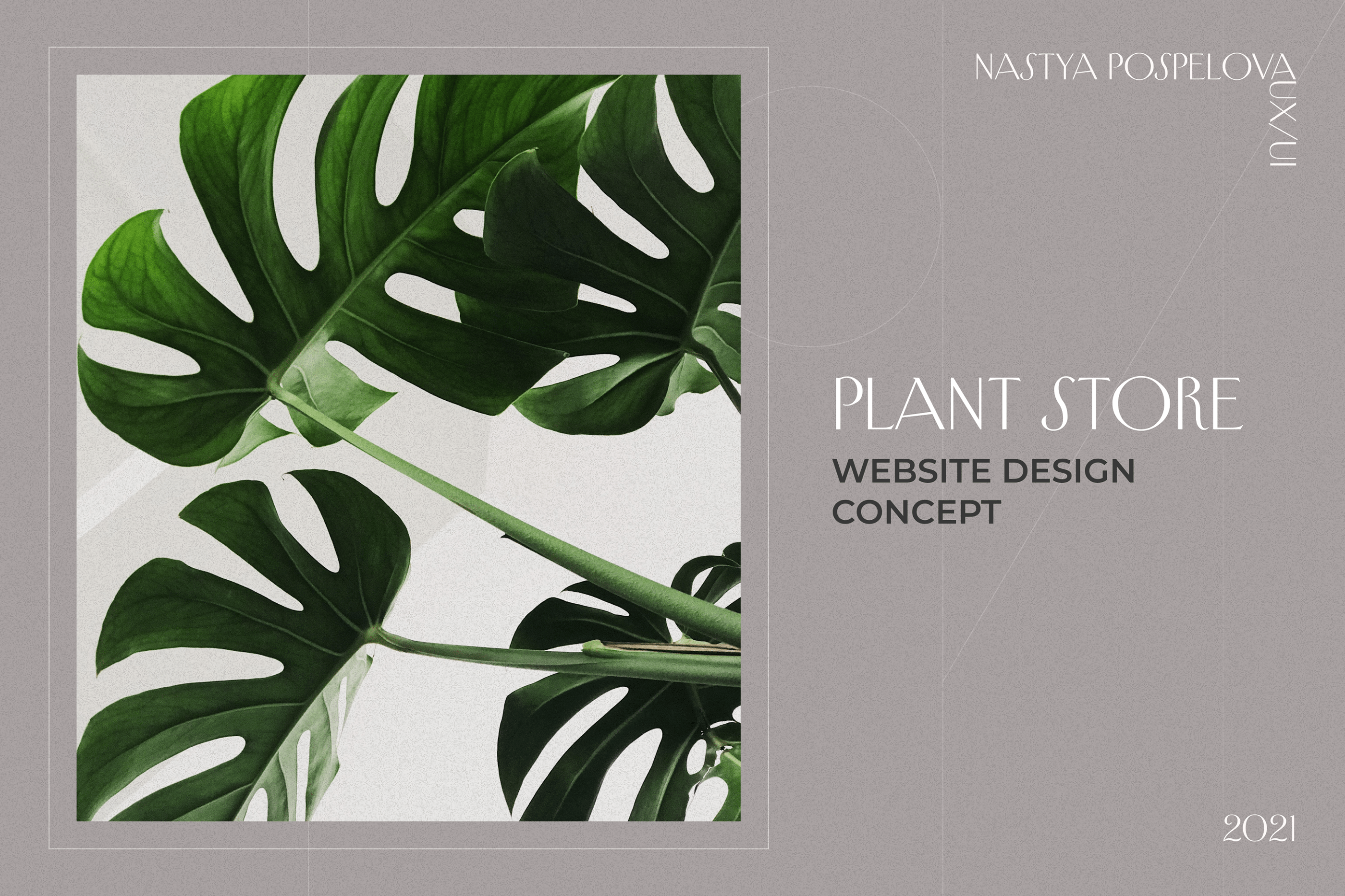 Plant online store | concept — Изображение №1 — Интерфейсы на Dprofile