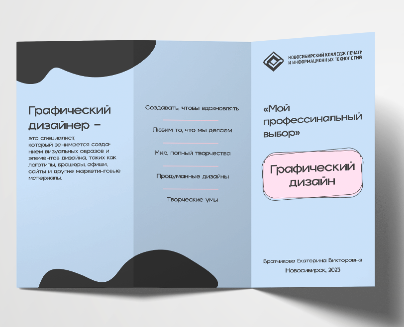 Буклет "Мой профессиональный выбор" на Dprofile