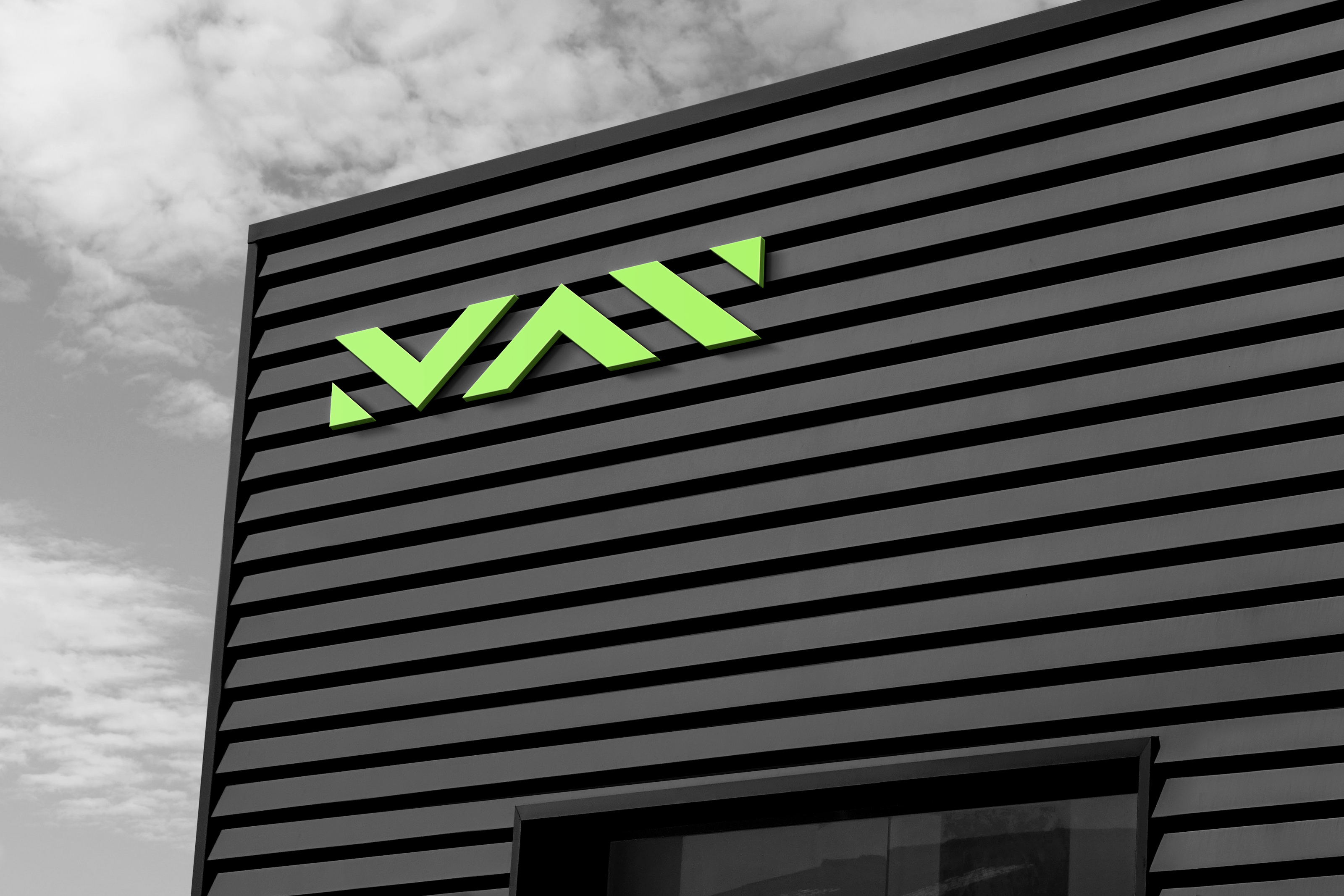 MAN - shipping services LLC (logo identity) — Изображение №7 — Брендинг, Маркетинг на Dprofile