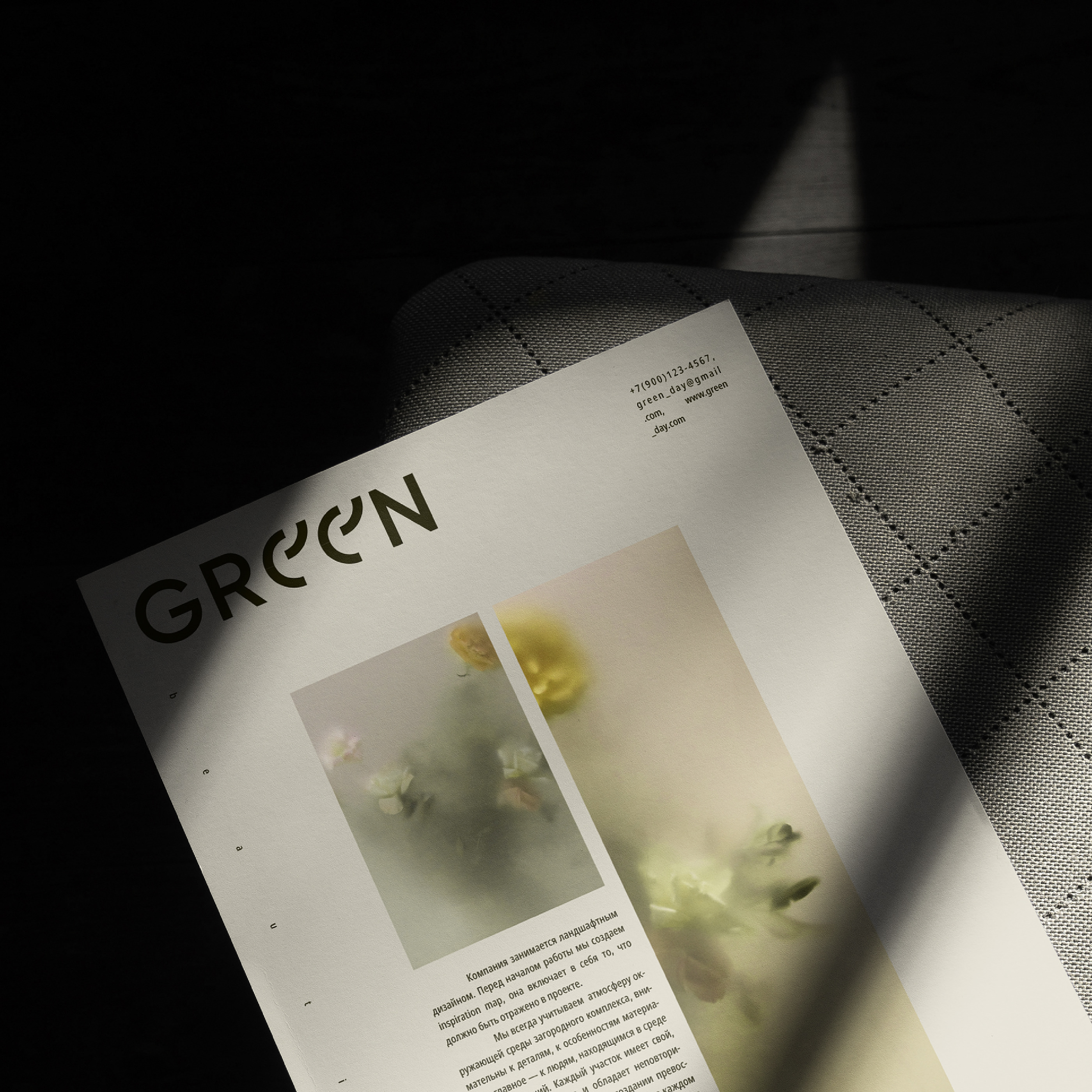GREEN DAY. BRAND IDENTITY — Изображение №1 — Брендинг, Иллюстрация на Dprofile