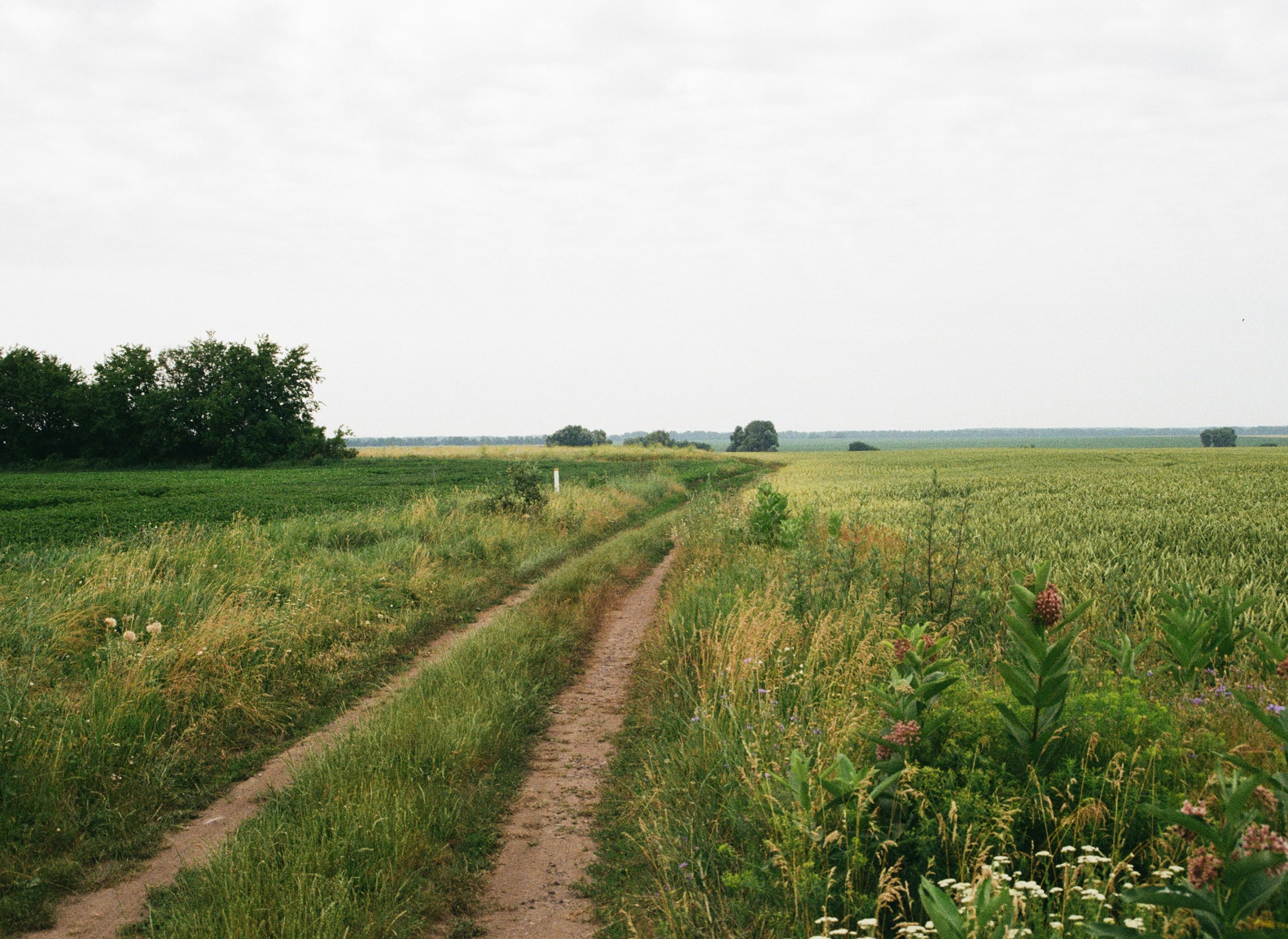 Art-park Nikola-Lenivets website concept — Изображение №11 — Интерфейсы на Dprofile