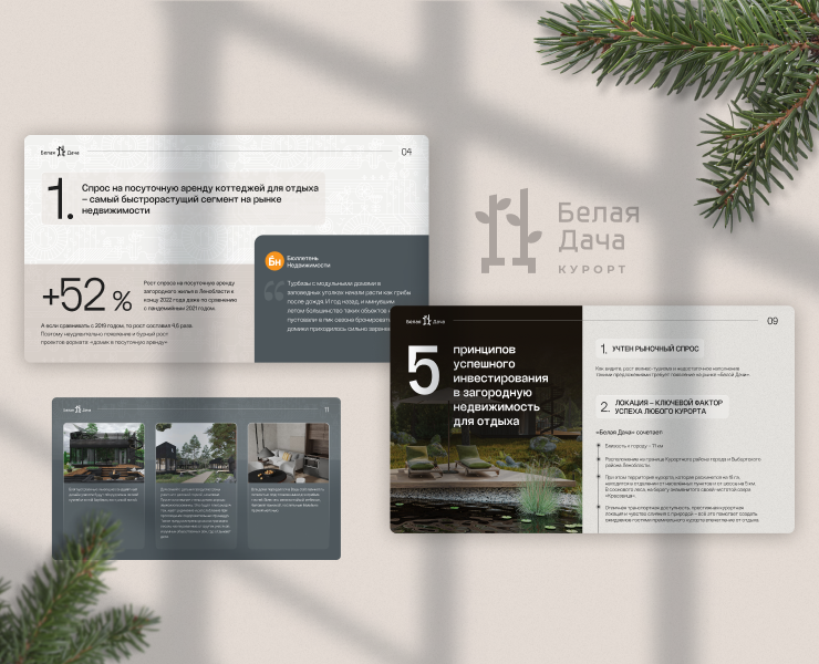 Презентация для инвесторов на Dprofile