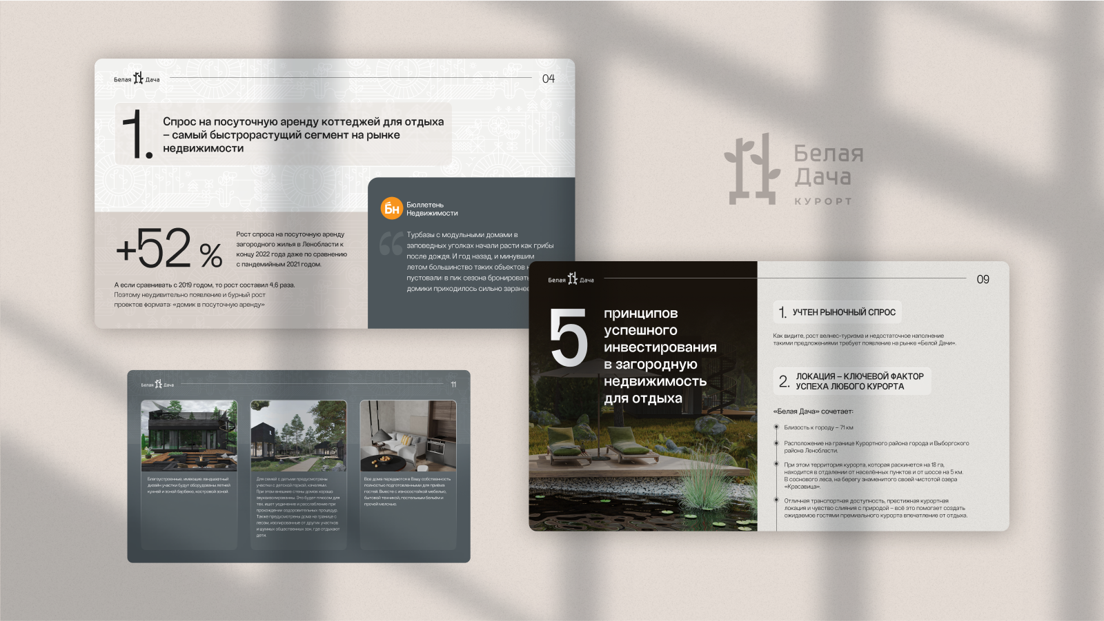 Презентация для инвесторов — Изображение №5 — Брендинг, Графика на Dprofile