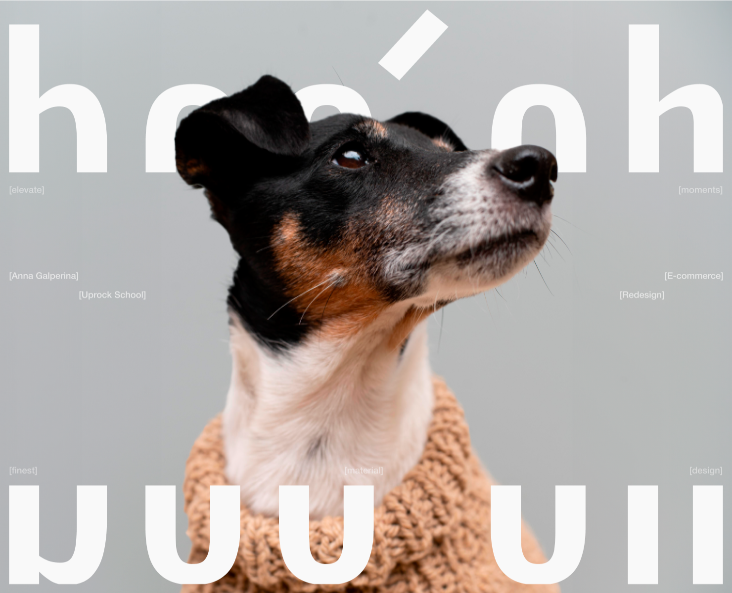 BOO OH STORE ✽ REDESIGN CONCEPT — Интерфейсы, Брендинг на Dprofile