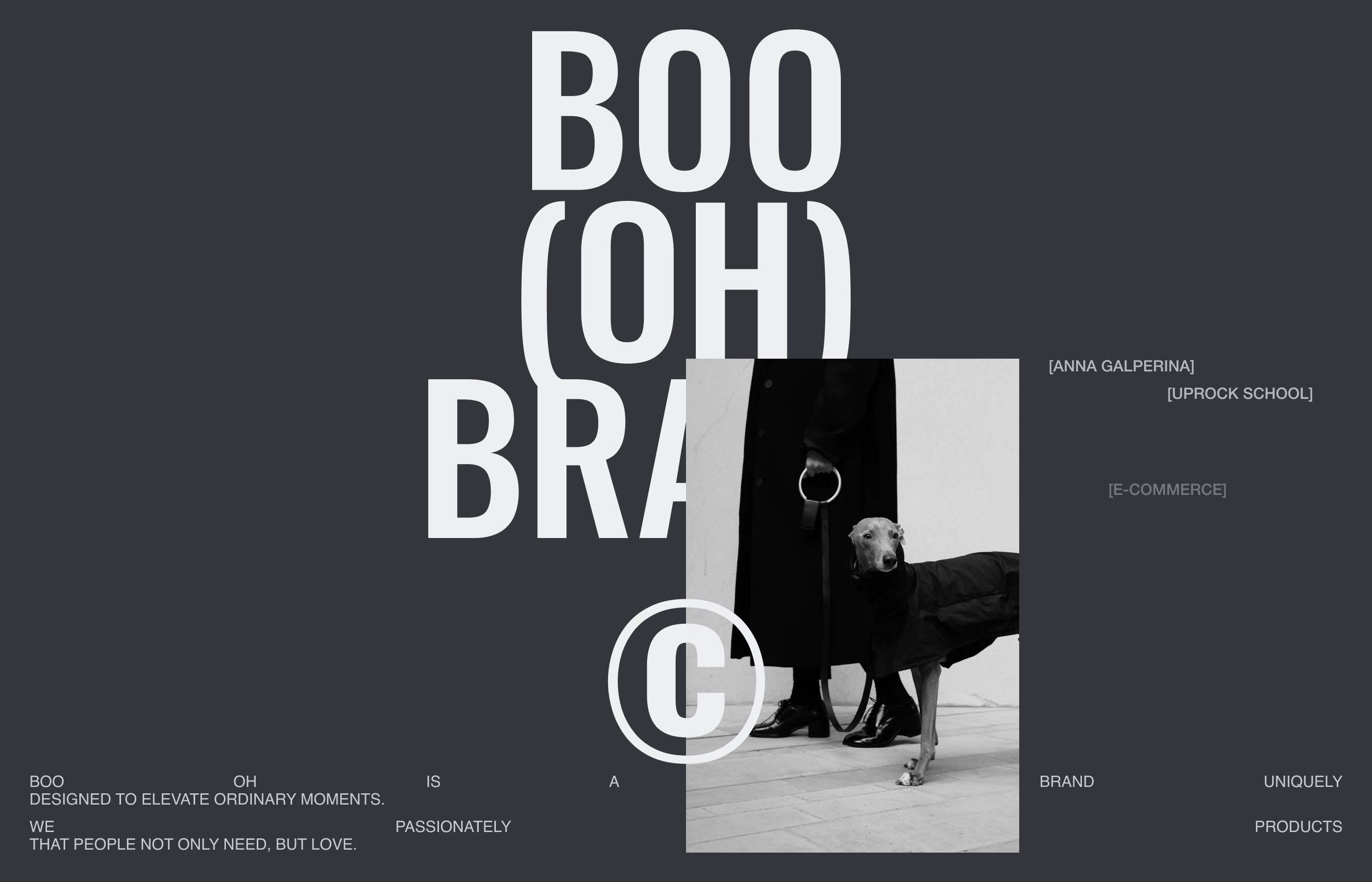 BOO OH STORE ✽ REDESIGN CONCEPT — Изображение №1 — Интерфейсы, Брендинг на Dprofile