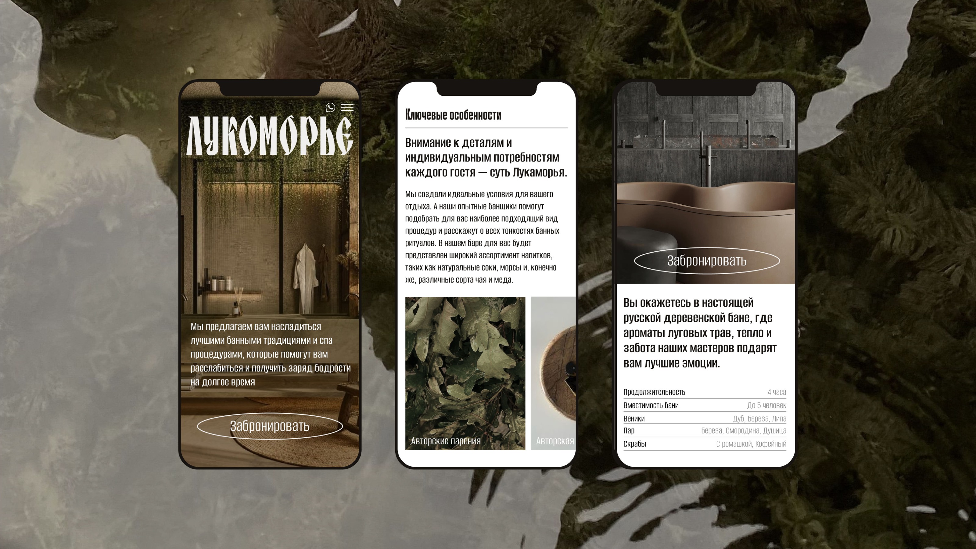 Lukomorye / Branding — Изображение №23 — Брендинг на Dprofile