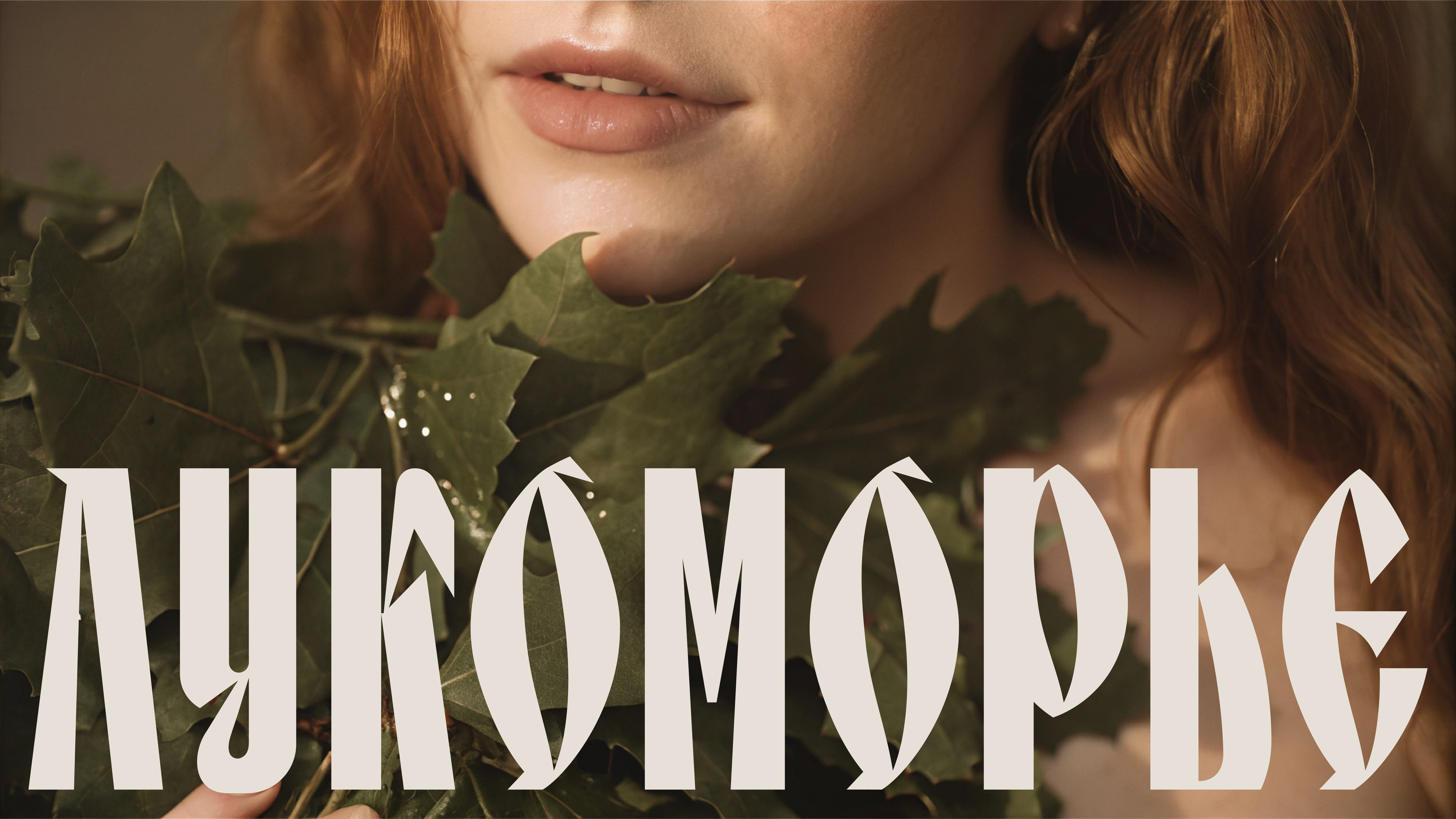 Lukomorye / Branding — Изображение №1 — Брендинг на Dprofile
